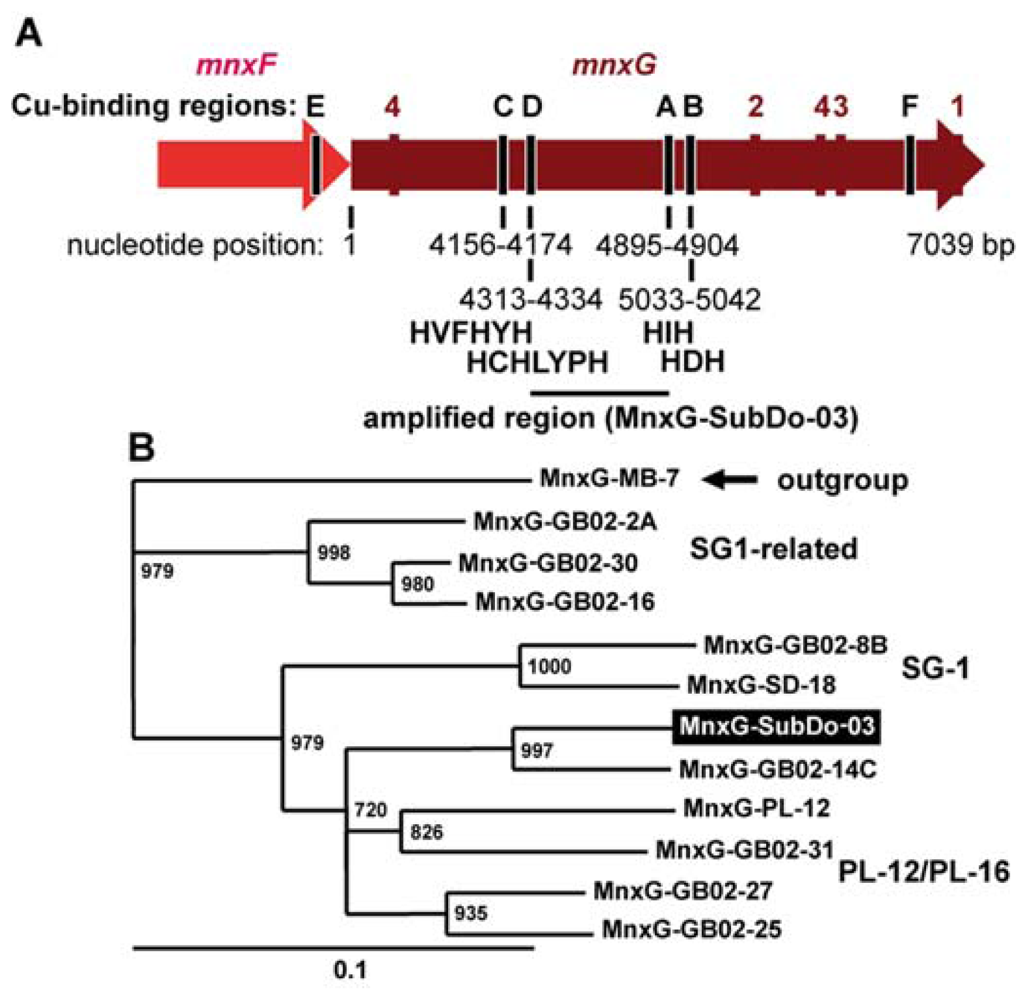 Marinedrugs 09 00001f9