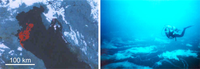 Marinedrugs 09 00666f1 200