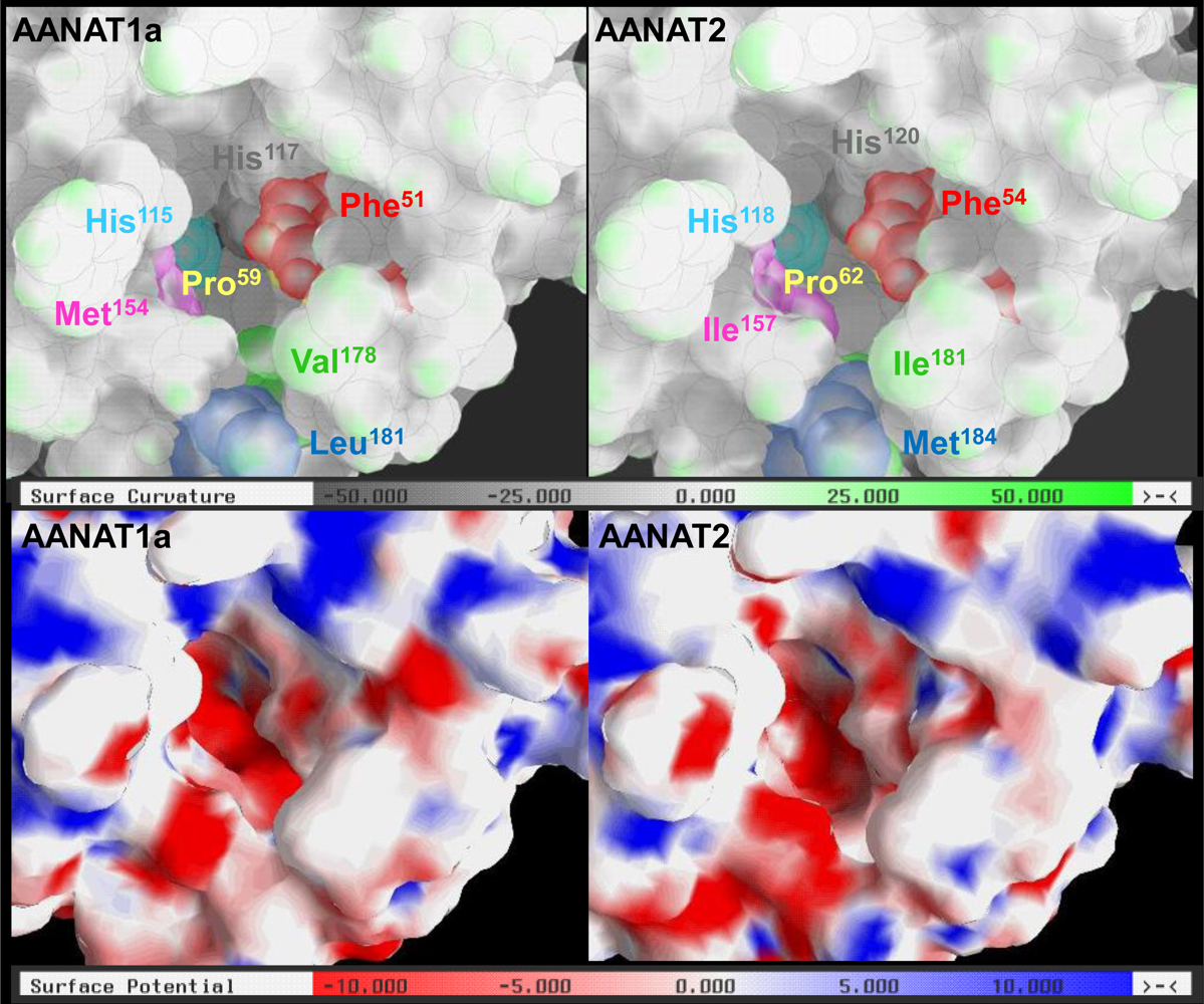 Marinedrugs 09 00906f4