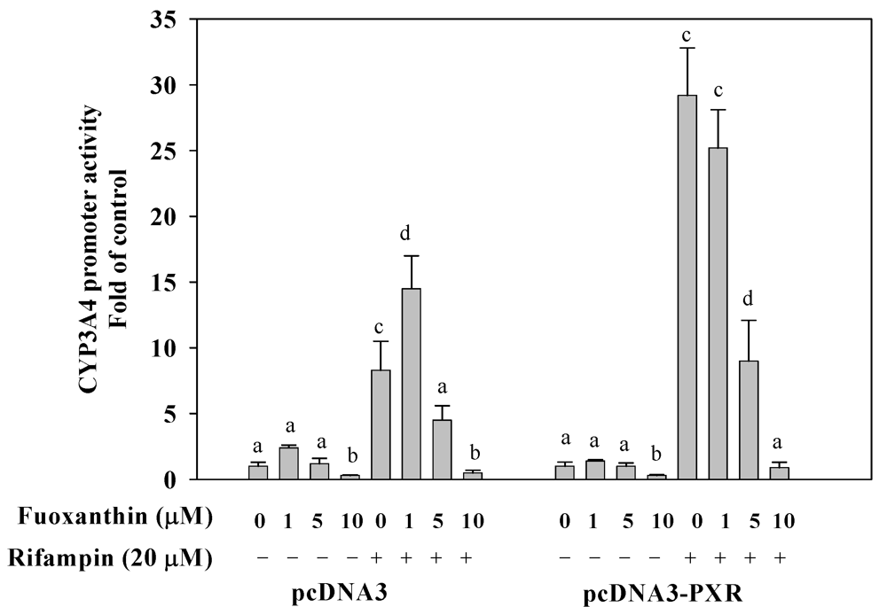 download polymers and