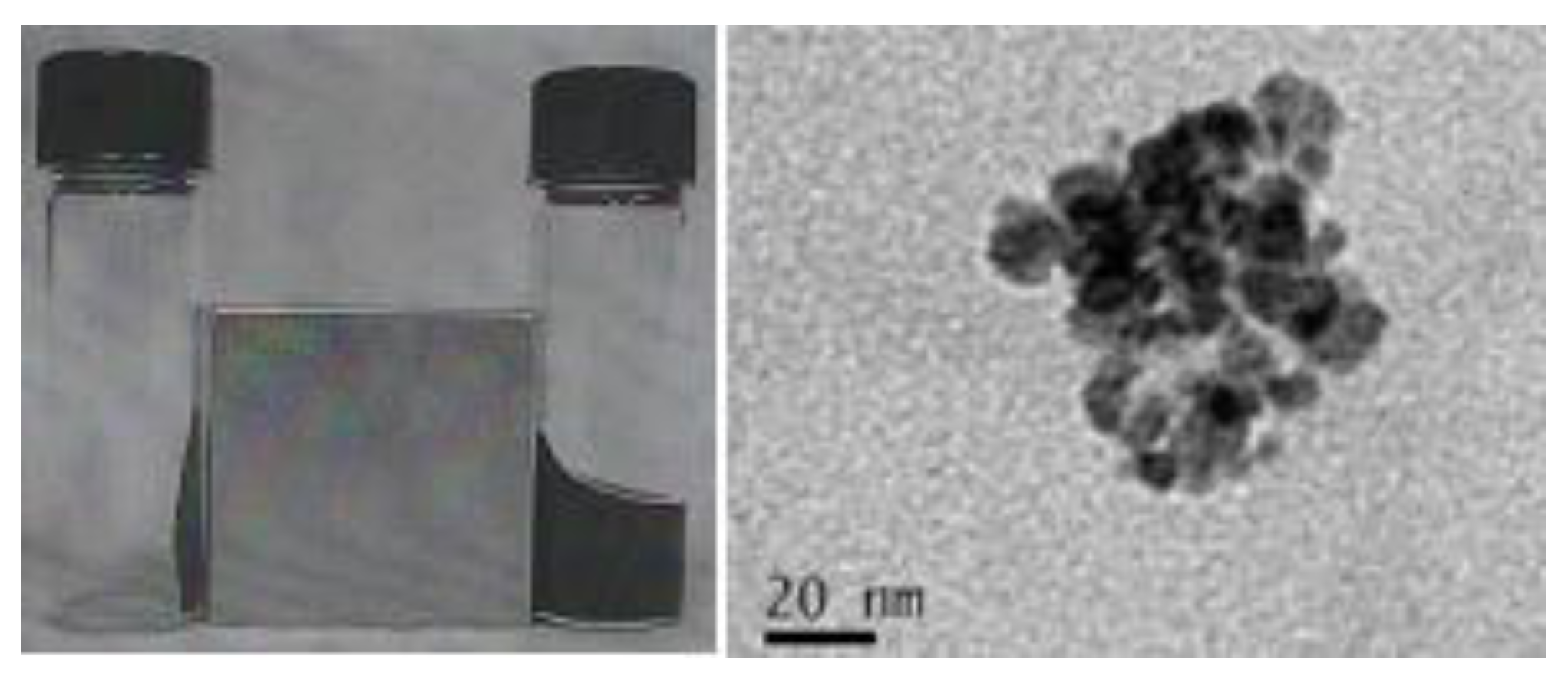 Marinedrugs 10 02403 g002