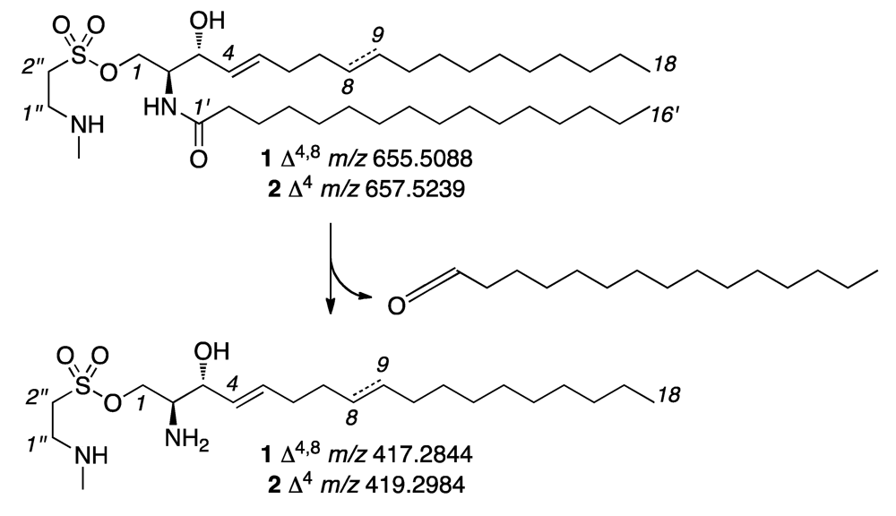 Marinedrugs 10 02846 g004
