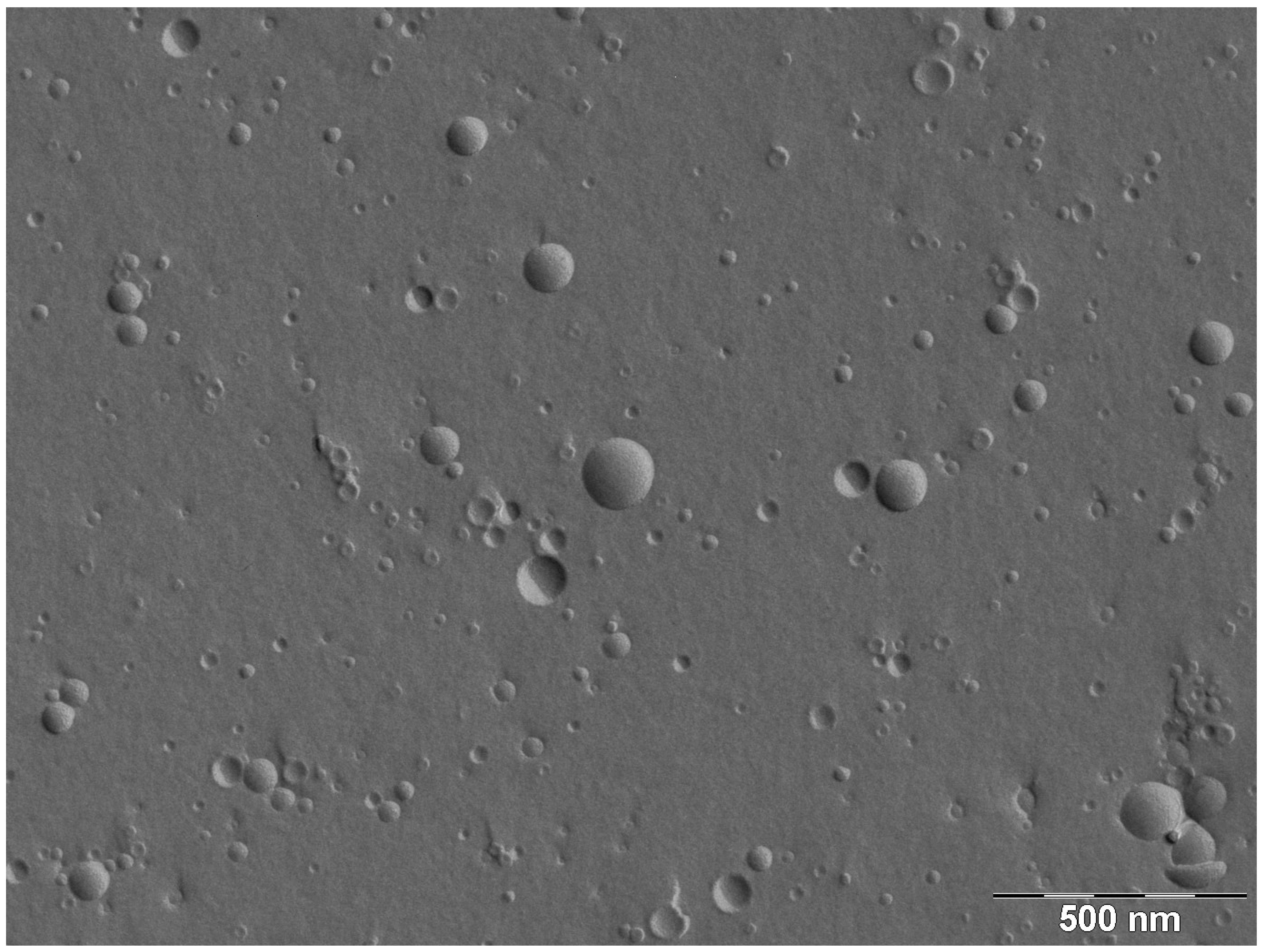 Marinedrugs 11 04267 g001