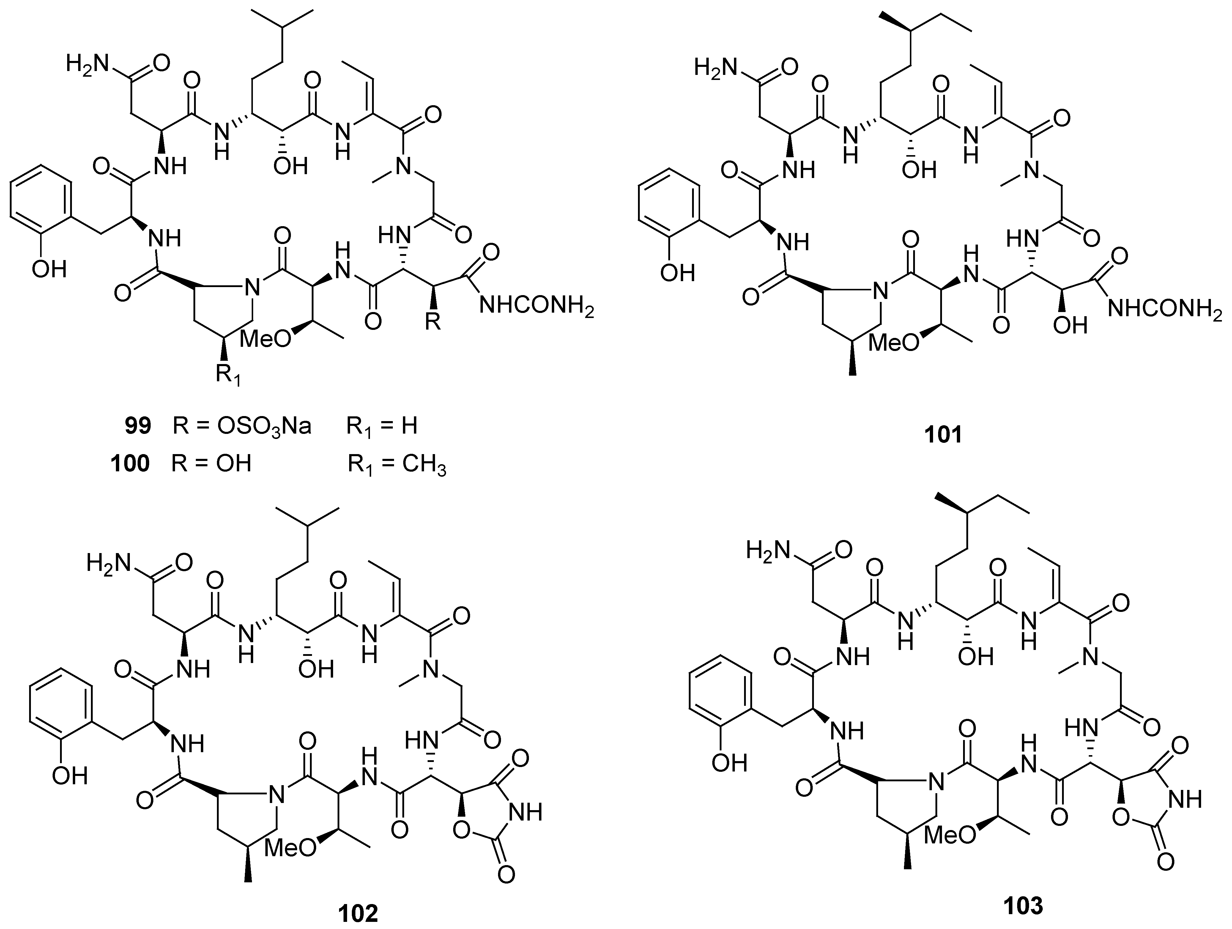 Marinedrugs 12 00636 g024