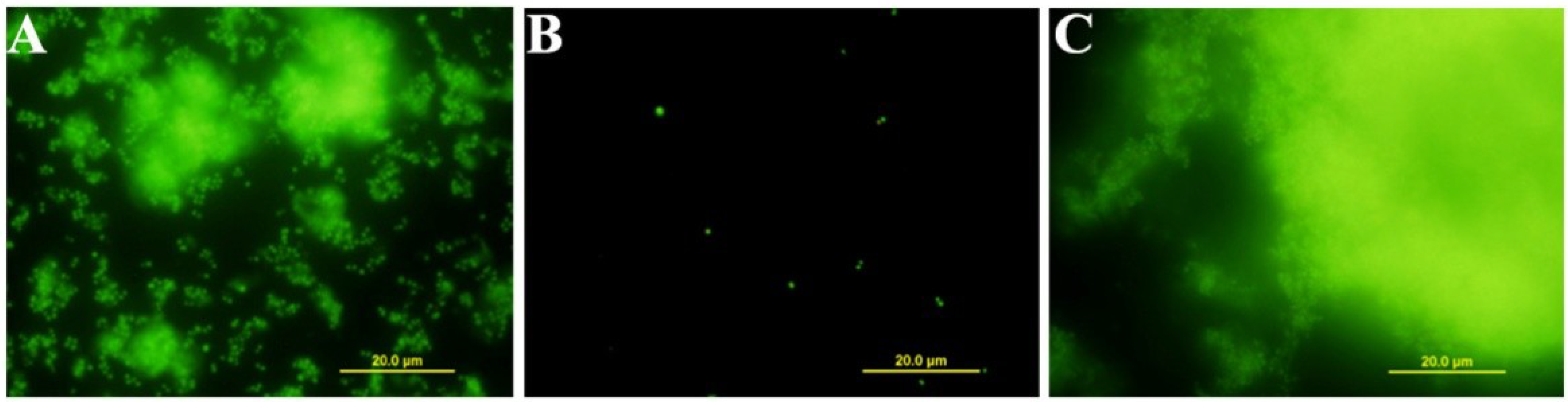 Marinedrugs 12 00822 g003