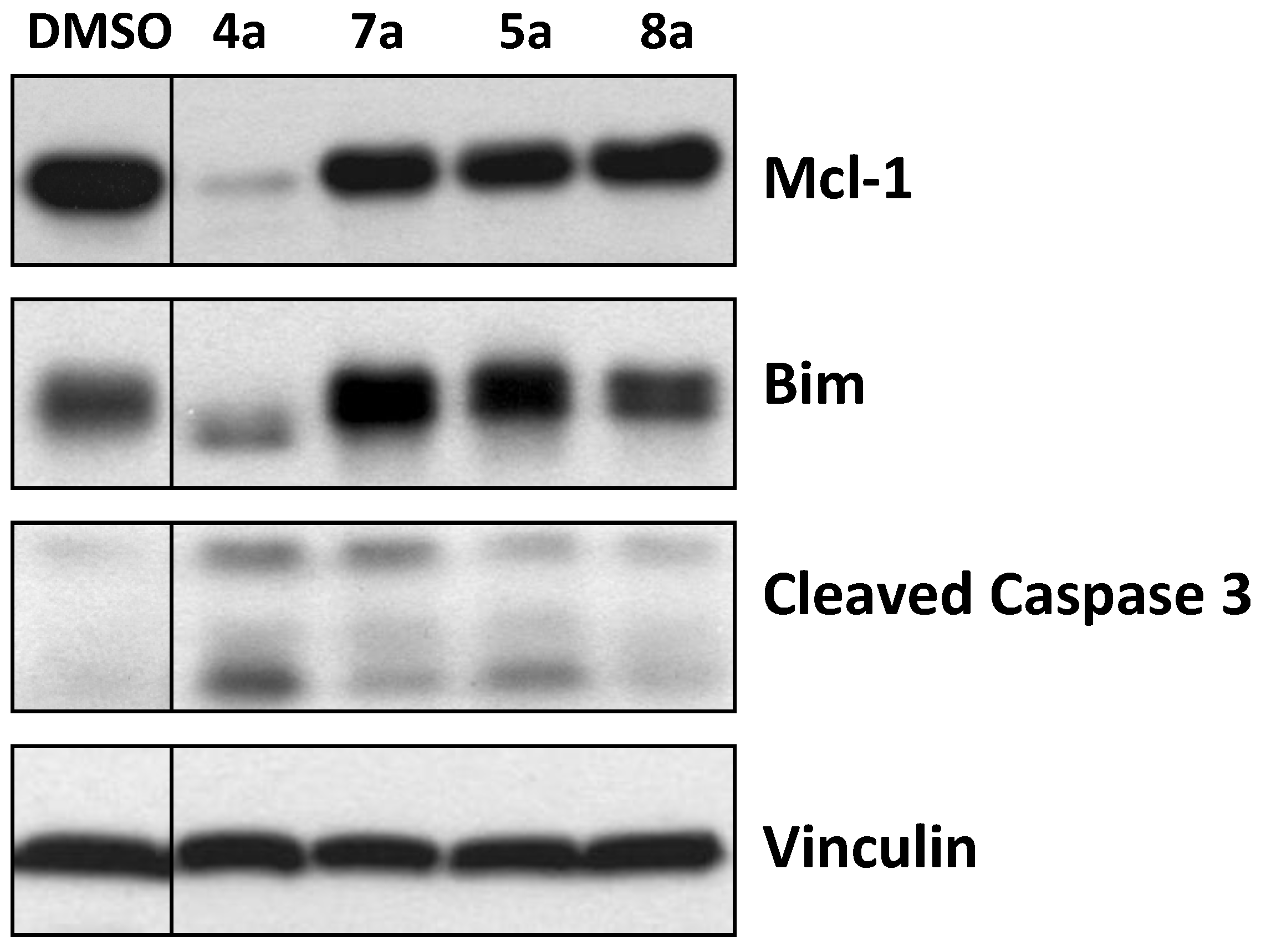 Marinedrugs 12 01335 g004