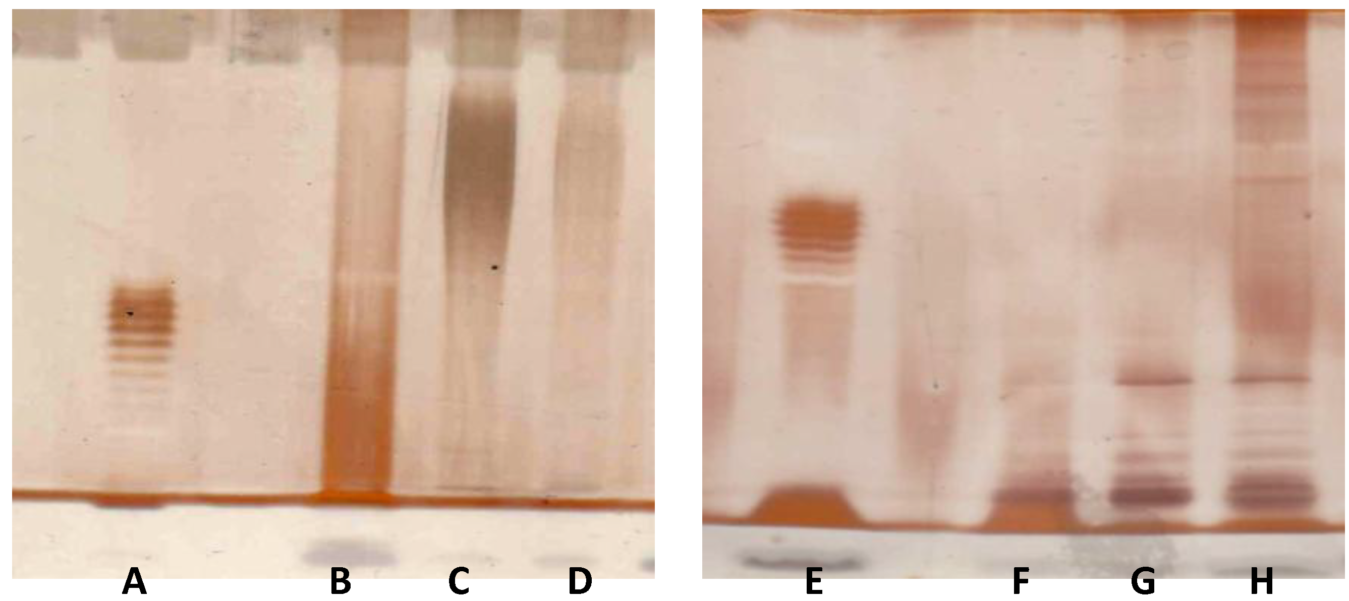 Marinedrugs 12 01732 g007