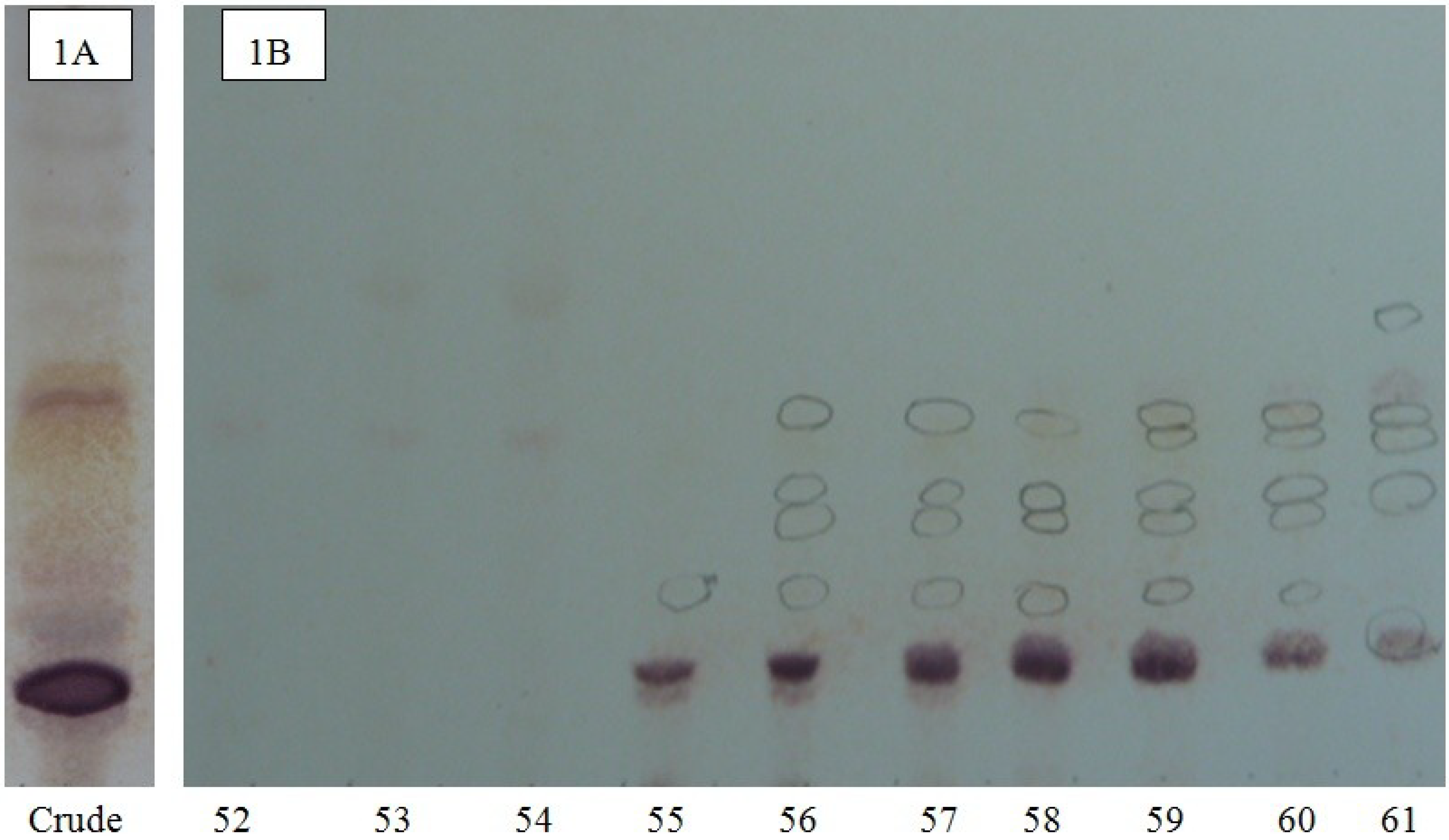 Marinedrugs 12 02633 g001