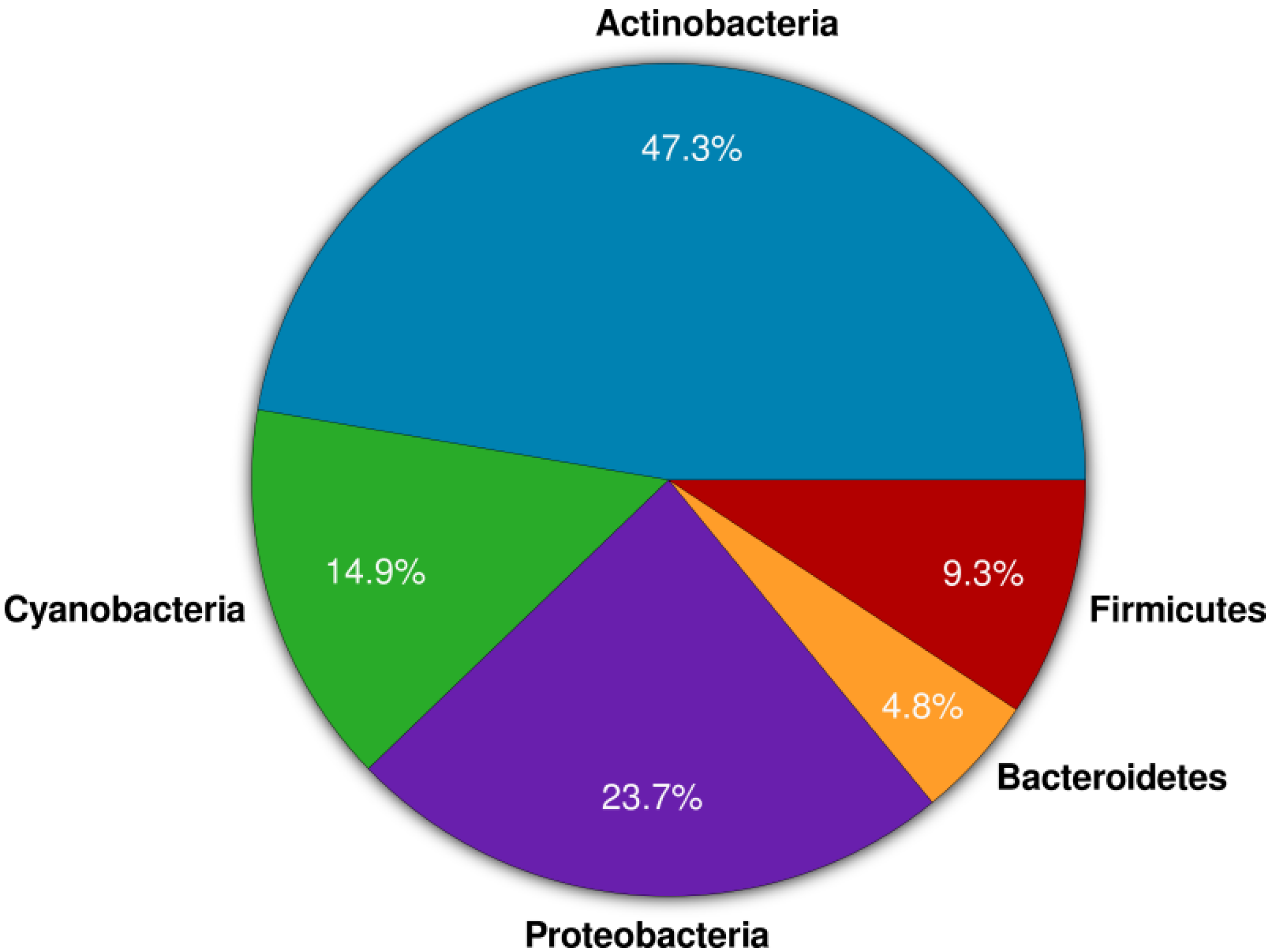 Biological activity of actinomycetes