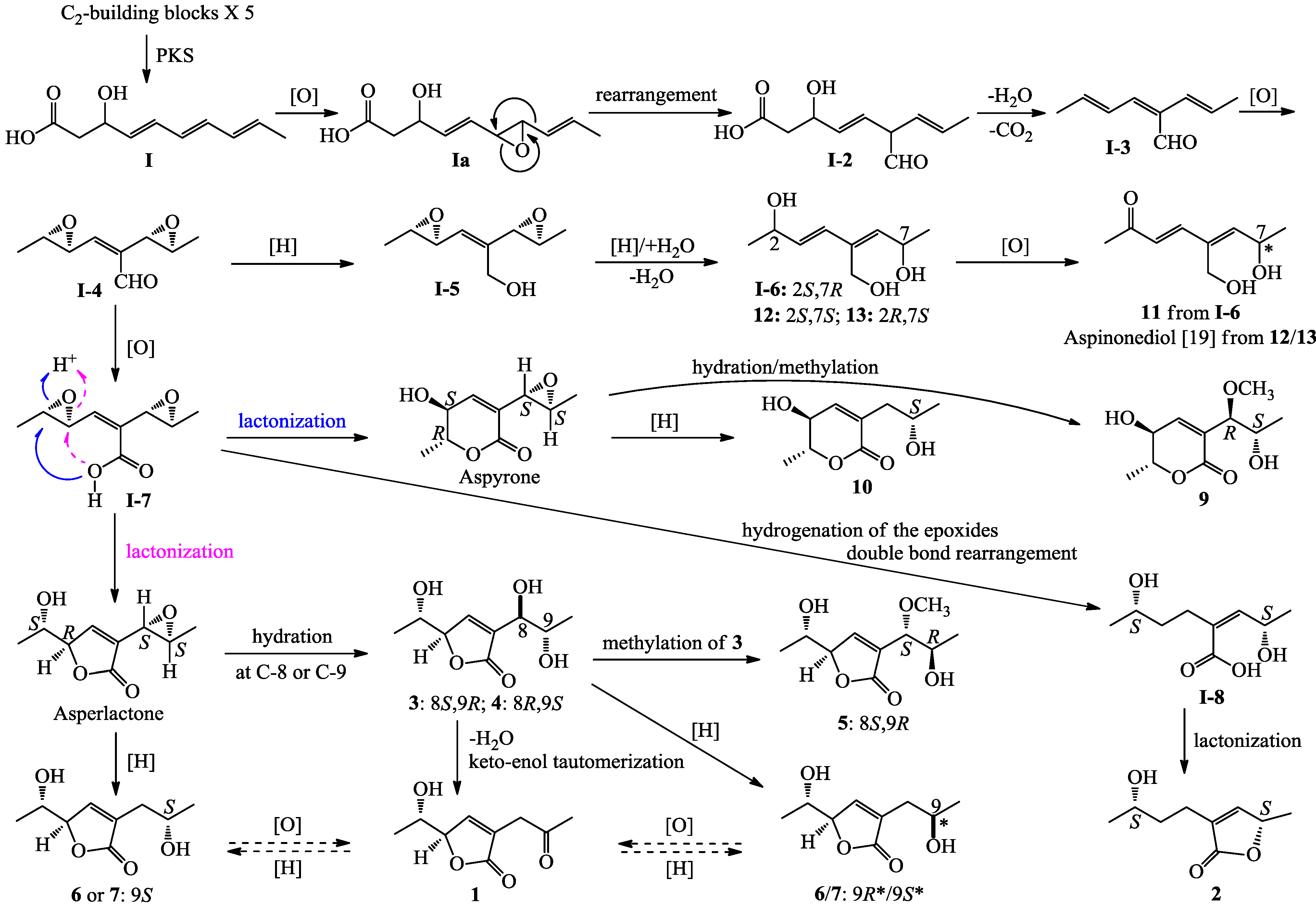 Marinedrugs 12 03116 g005