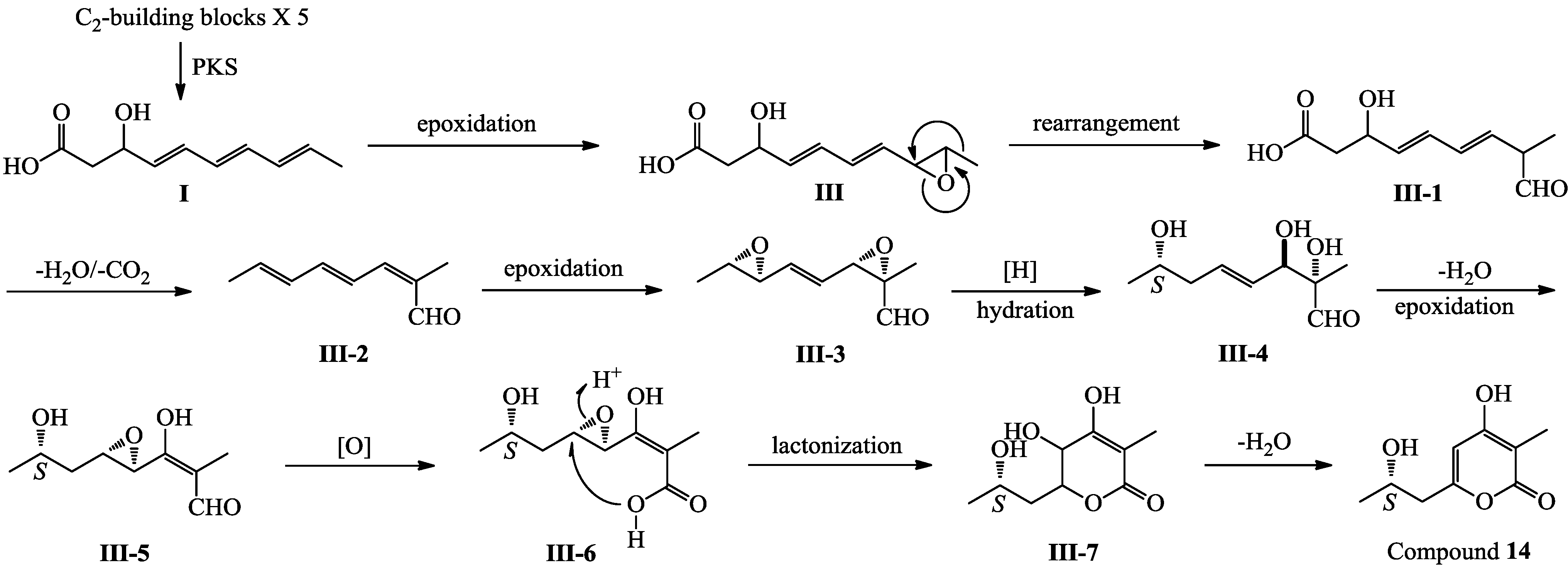 Marinedrugs 12 03116 g007
