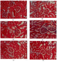 Marinedrugs 12 03292 g005 200