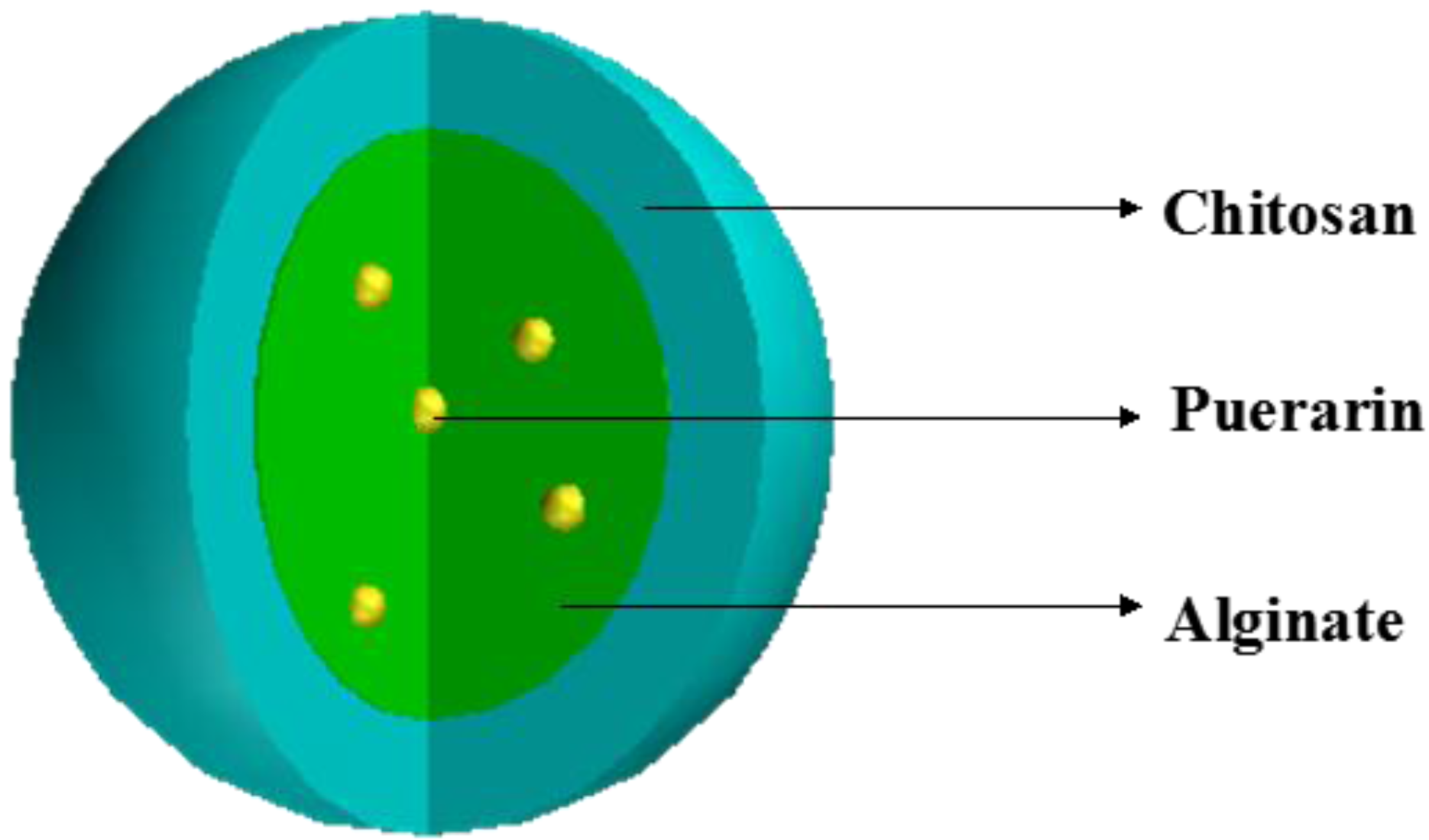 thesis on mucoadhesive microspheres thesis on mucoadhesive microspheres