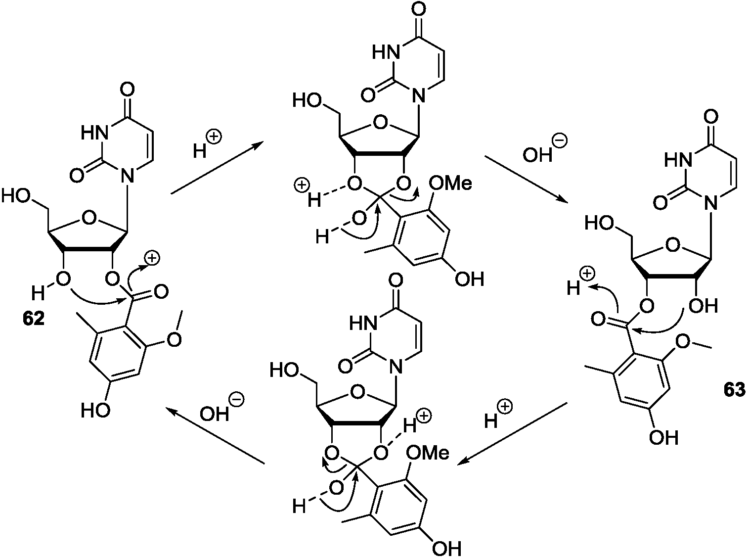Marinedrugs 12 05817 g017