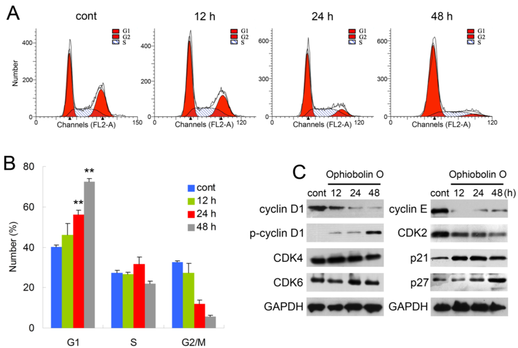 download bacterial protein