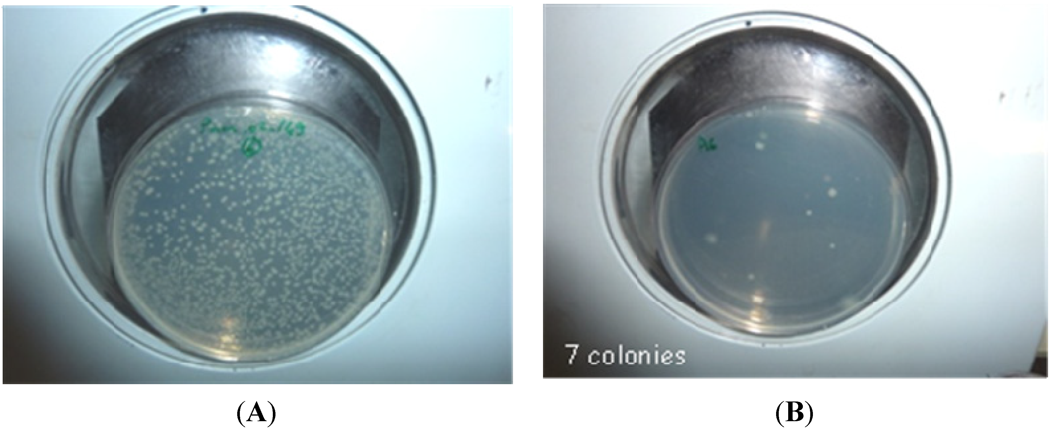 Marinedrugs 13 03732 g003