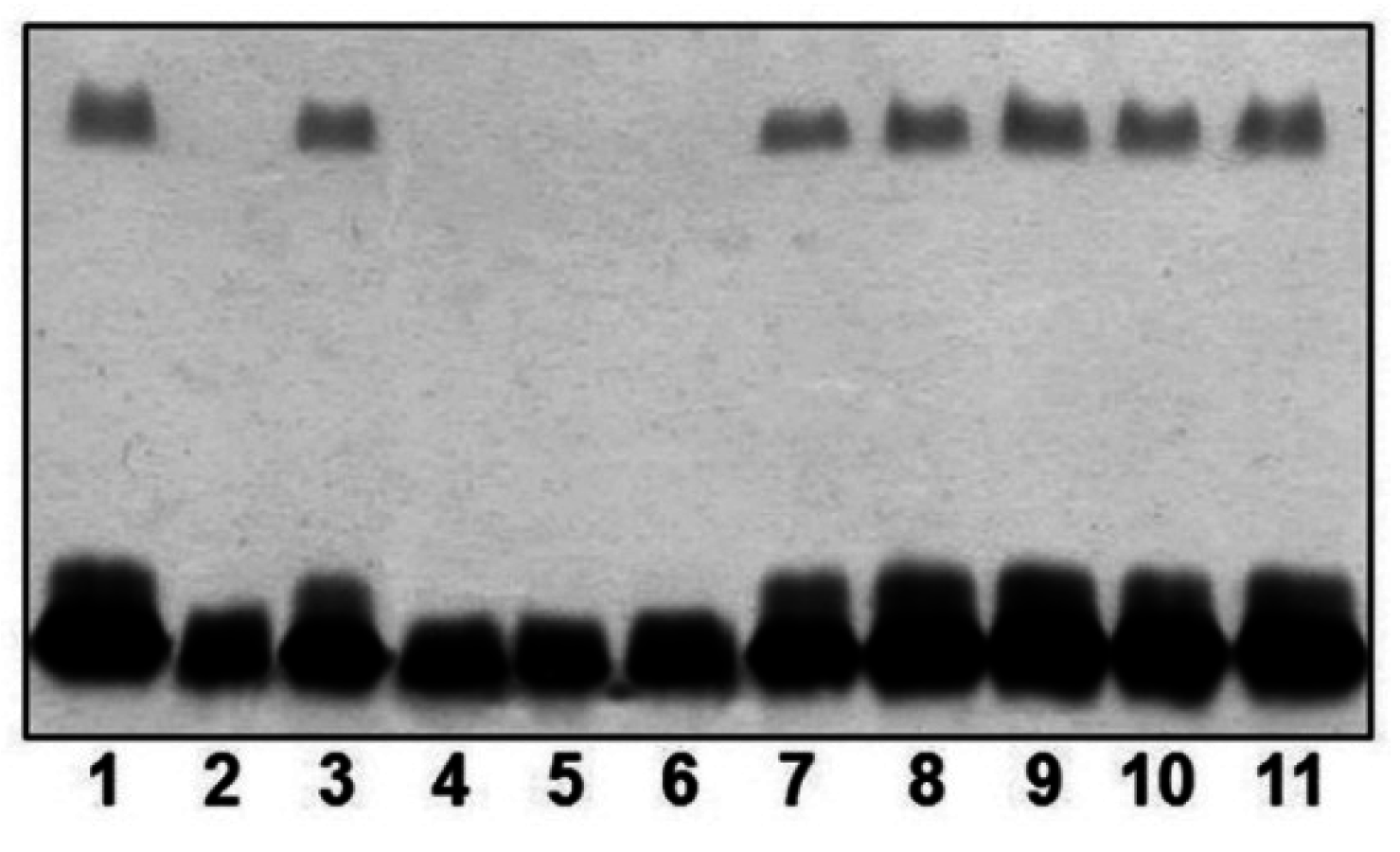 Marinedrugs 13 03791 g002