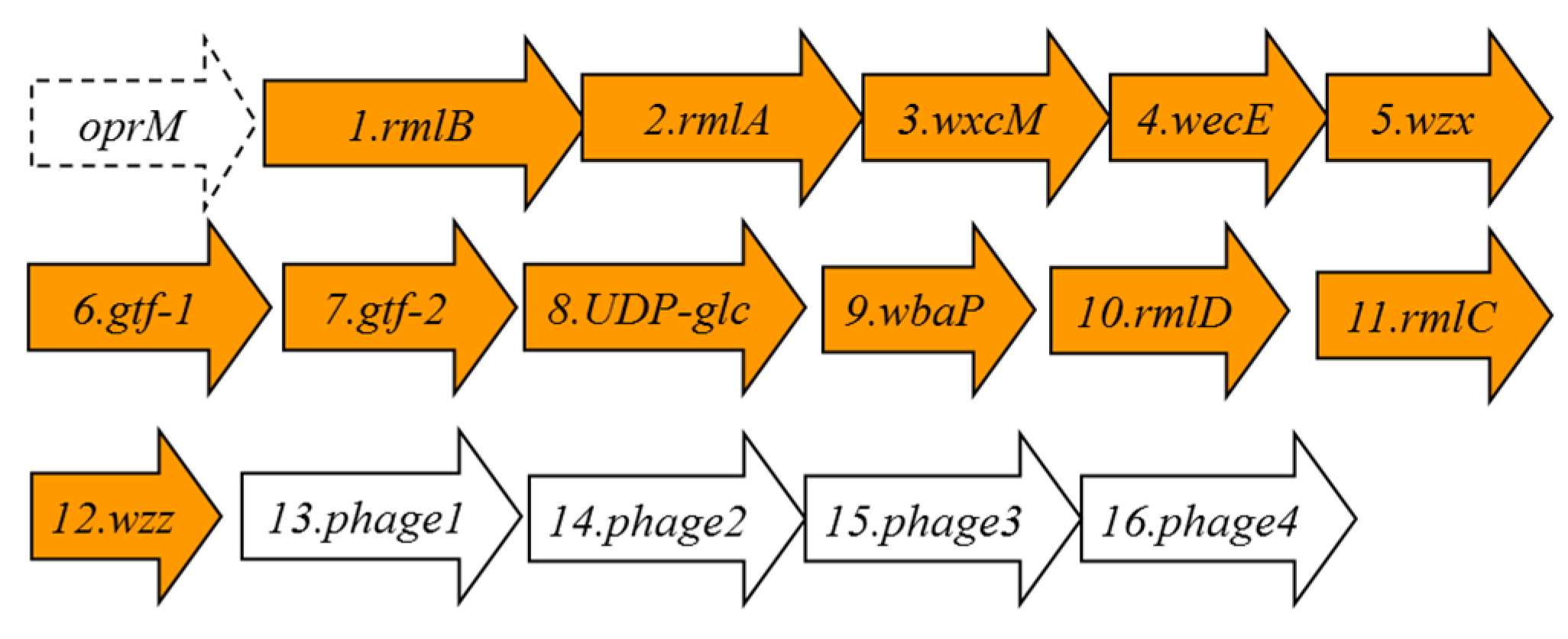 Marinedrugs 13 03791 g005