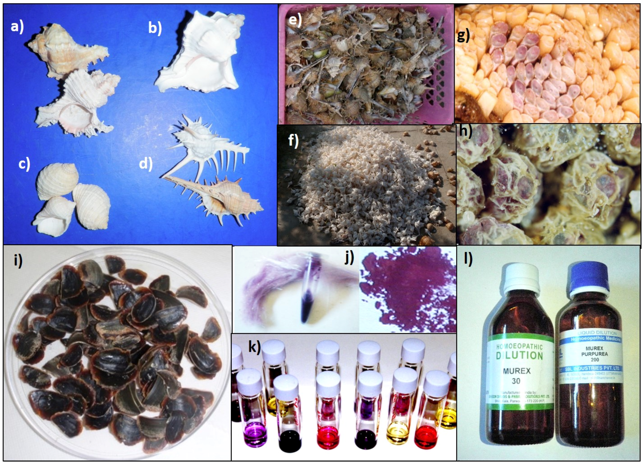 Marinedrugs 13 05237 g001