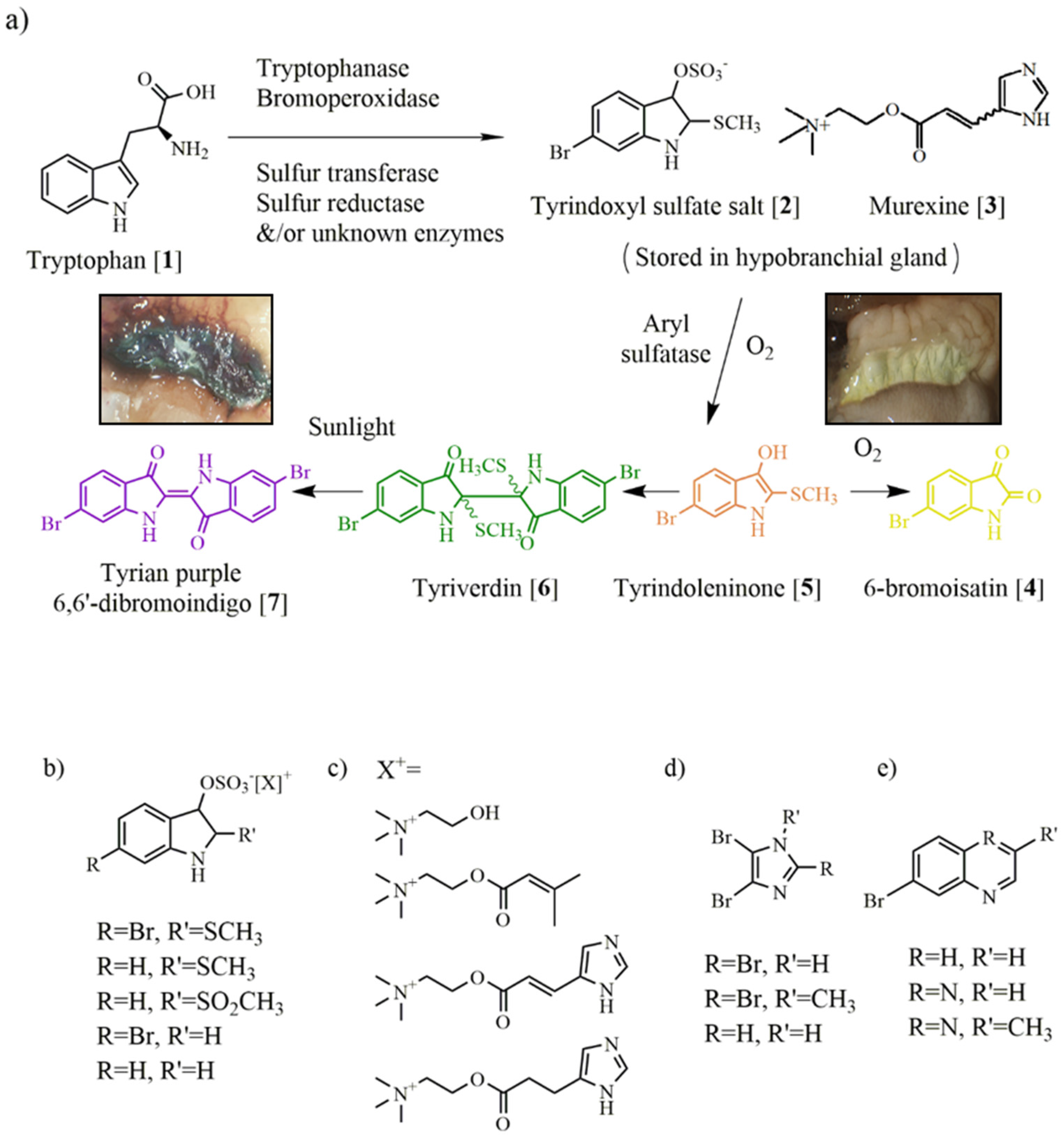 Marinedrugs 13 05237 g002
