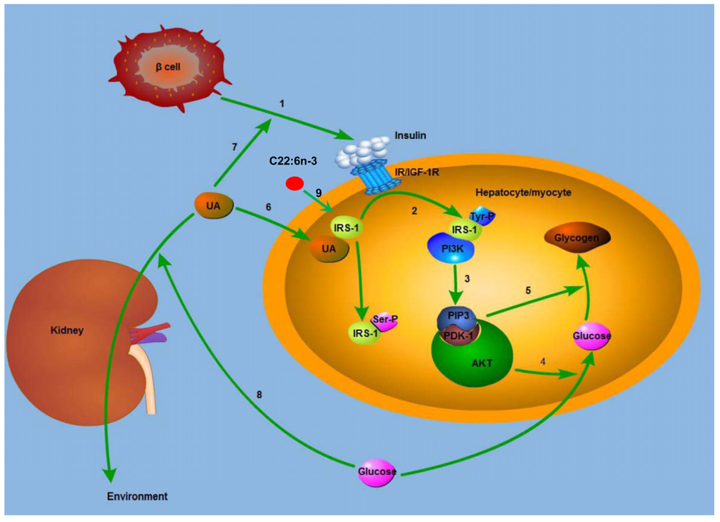 Case study 22 type 1 diabetes mellitus
