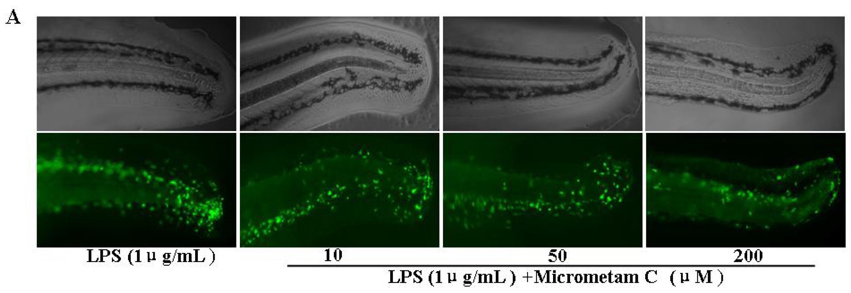 Marinedrugs 13 05593 g001a