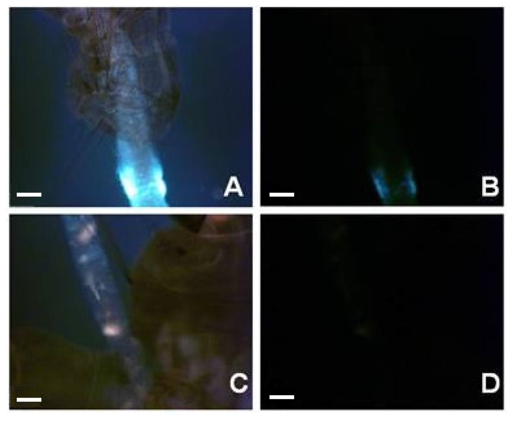 Marinedrugs 14 00020 g008a