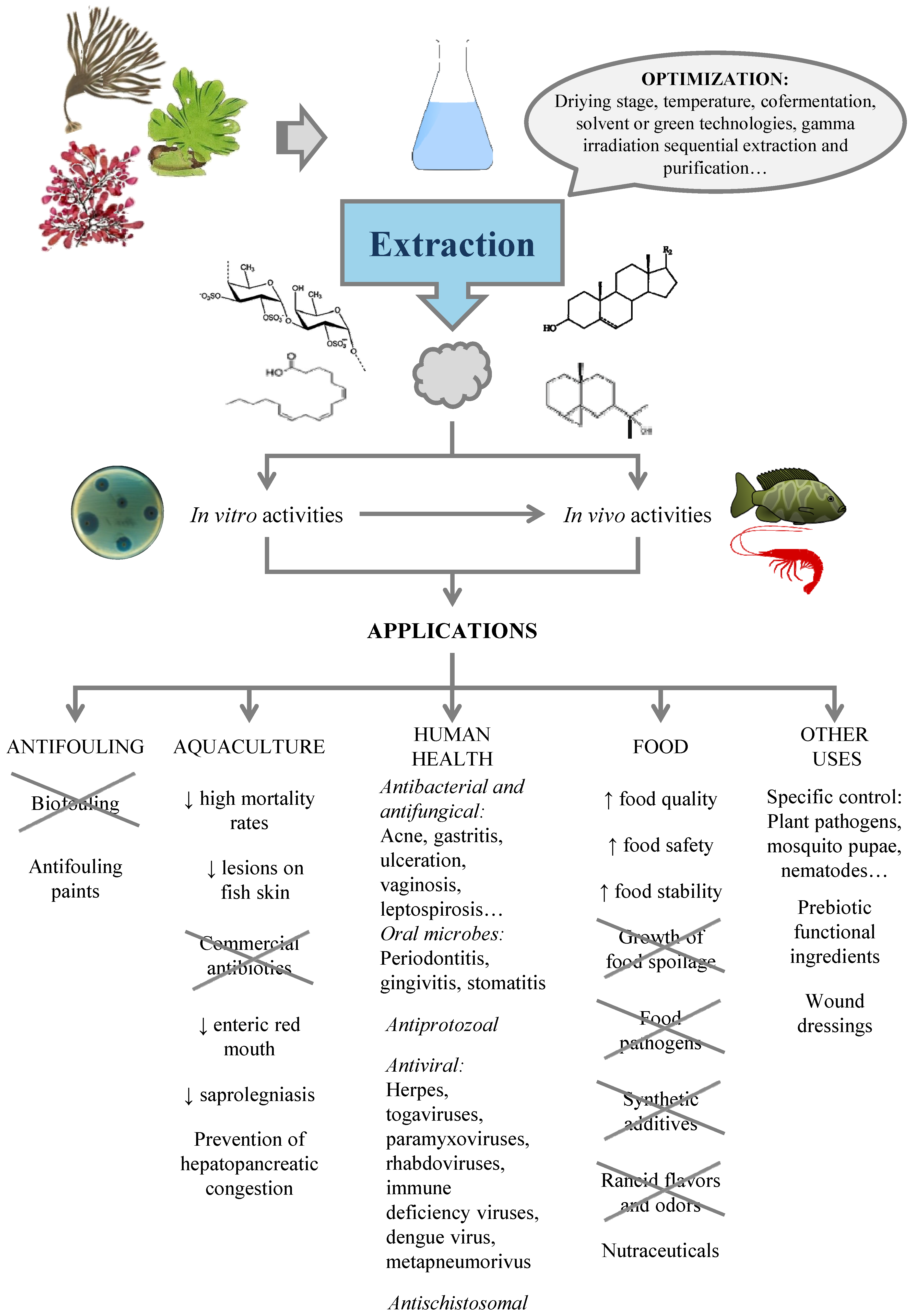 Marine Drugs | Free Full-Text | Antimicrobial Action of Marine Drugs | Free Full-Text | Antimicrobial Action of