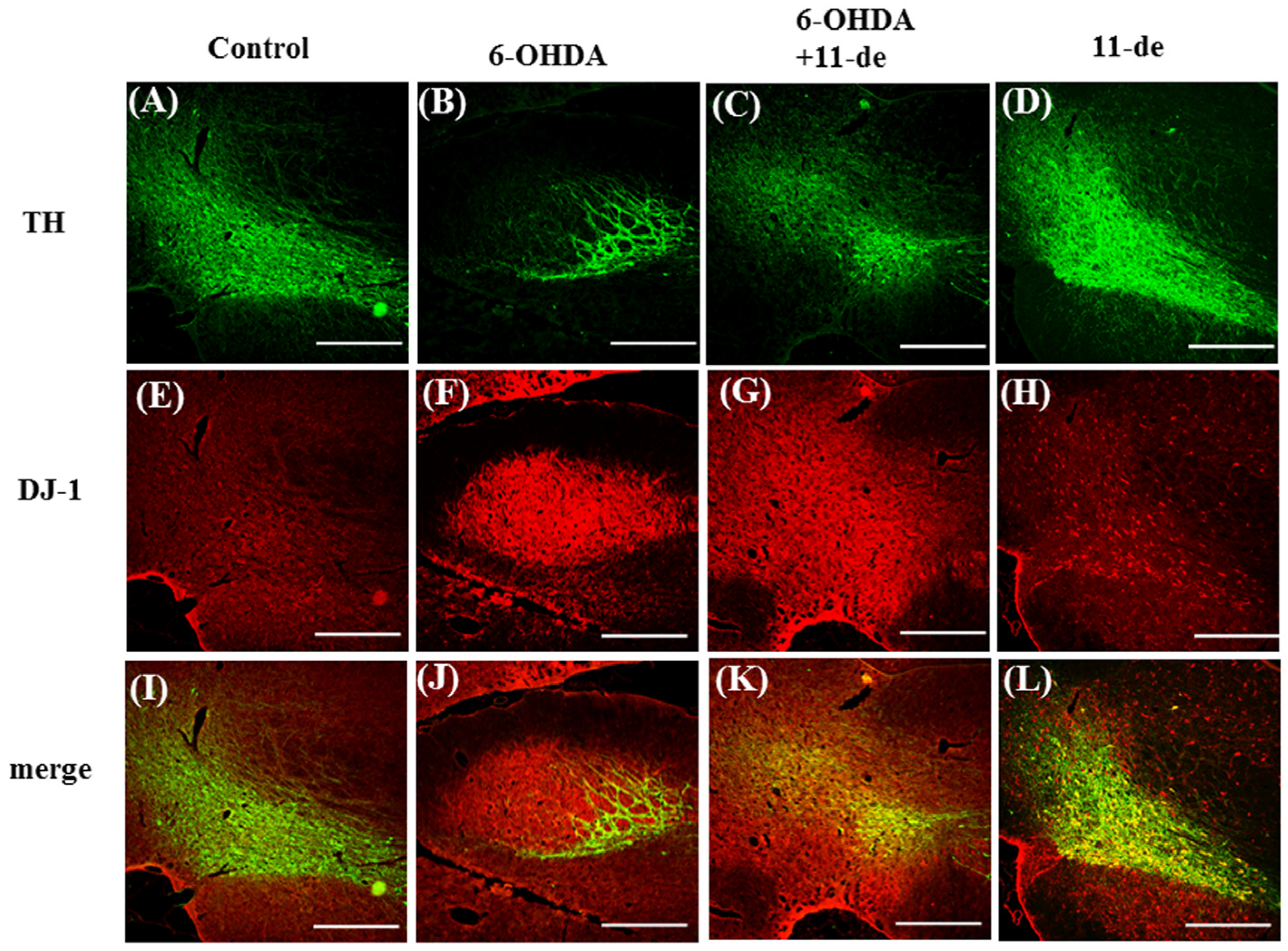 Marinedrugs 14 00187 g007