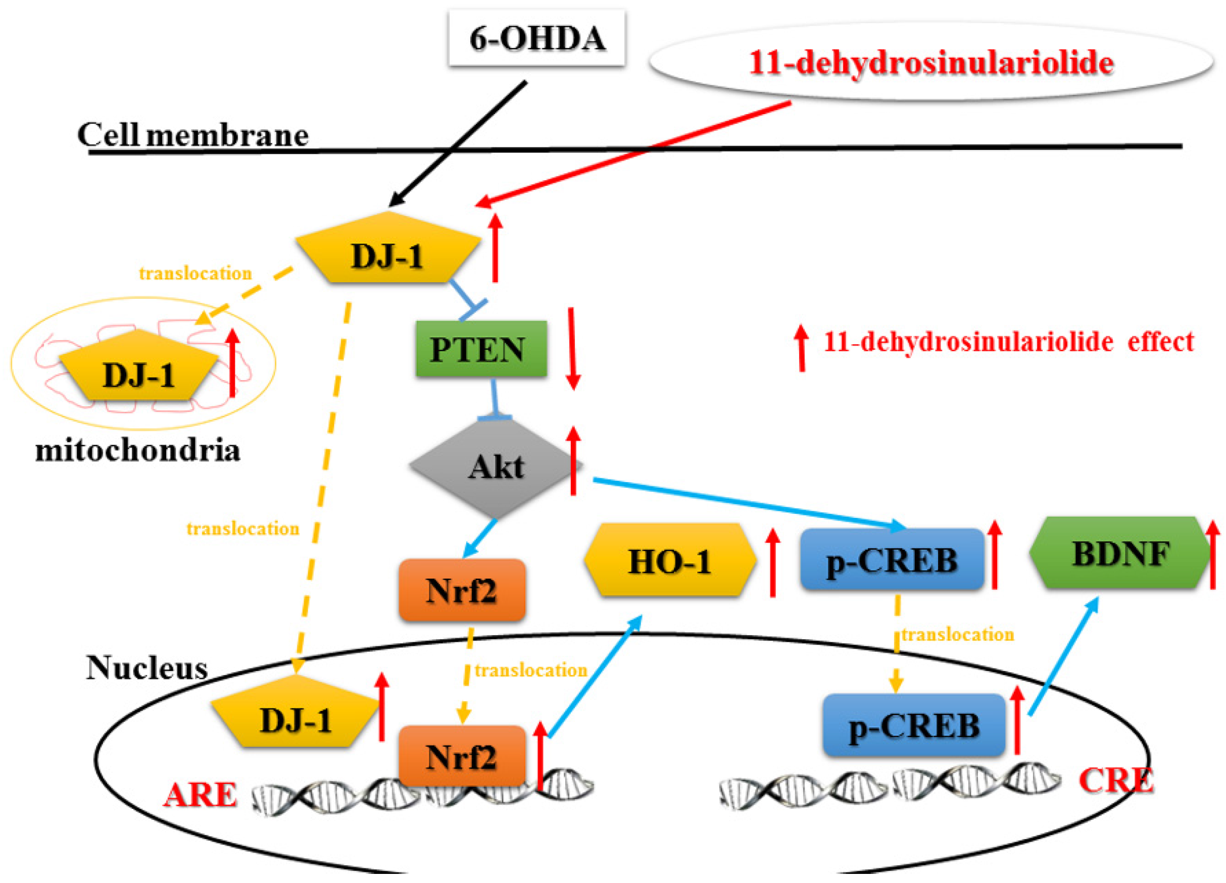 Marinedrugs 14 00187 g008