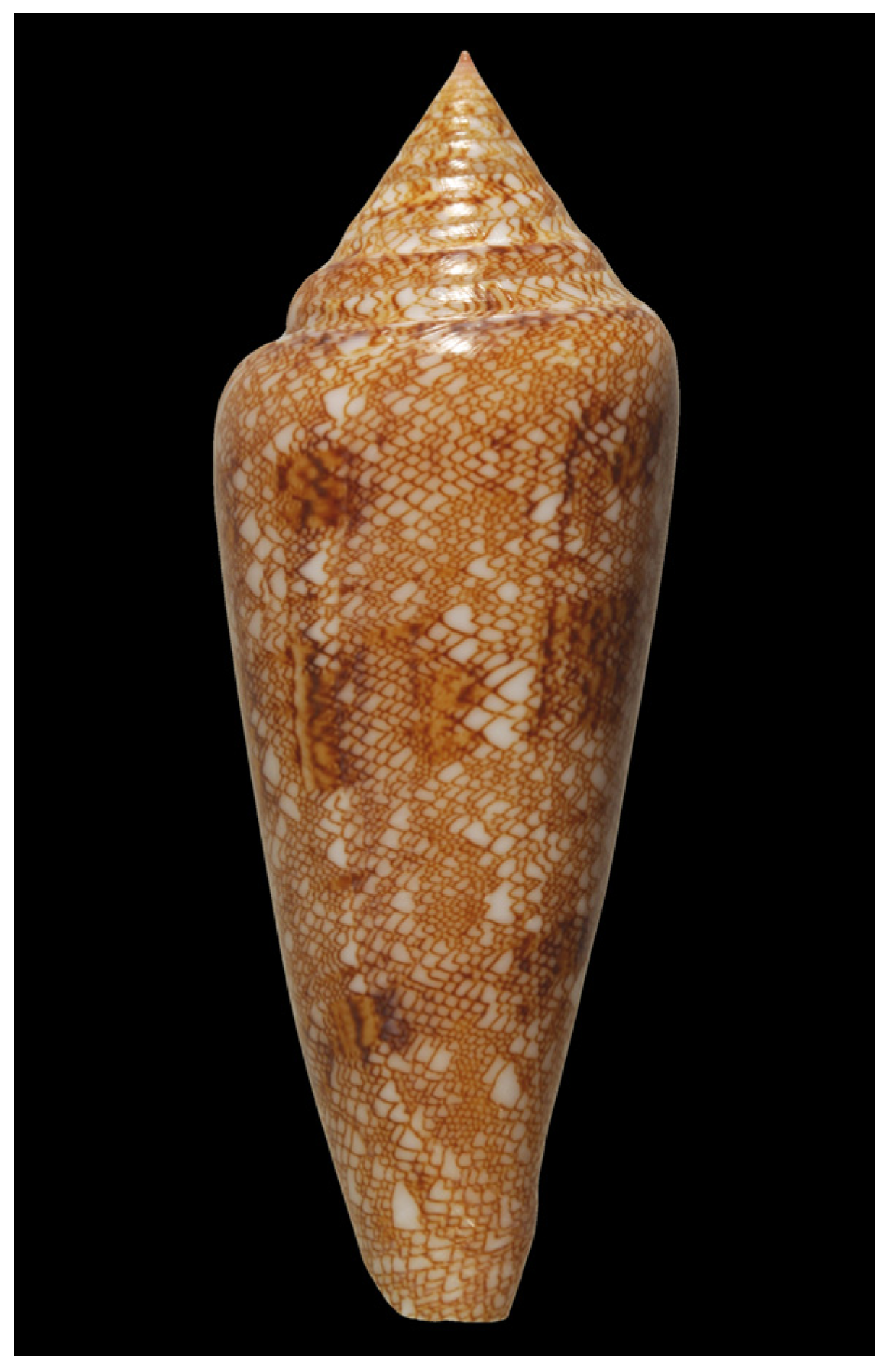 Marinedrugs 15 00145 g001