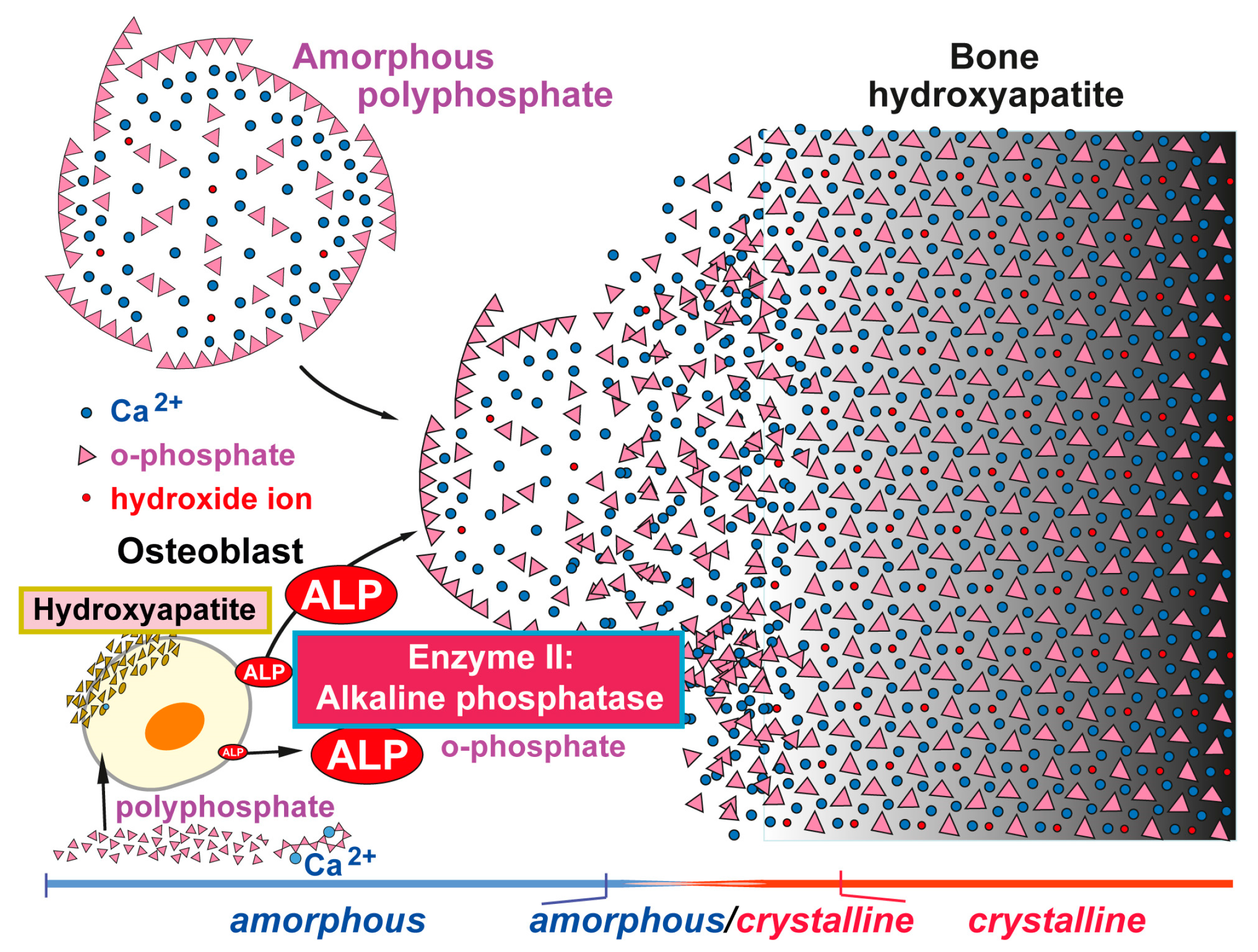 Marinedrugs 15 00172 g003