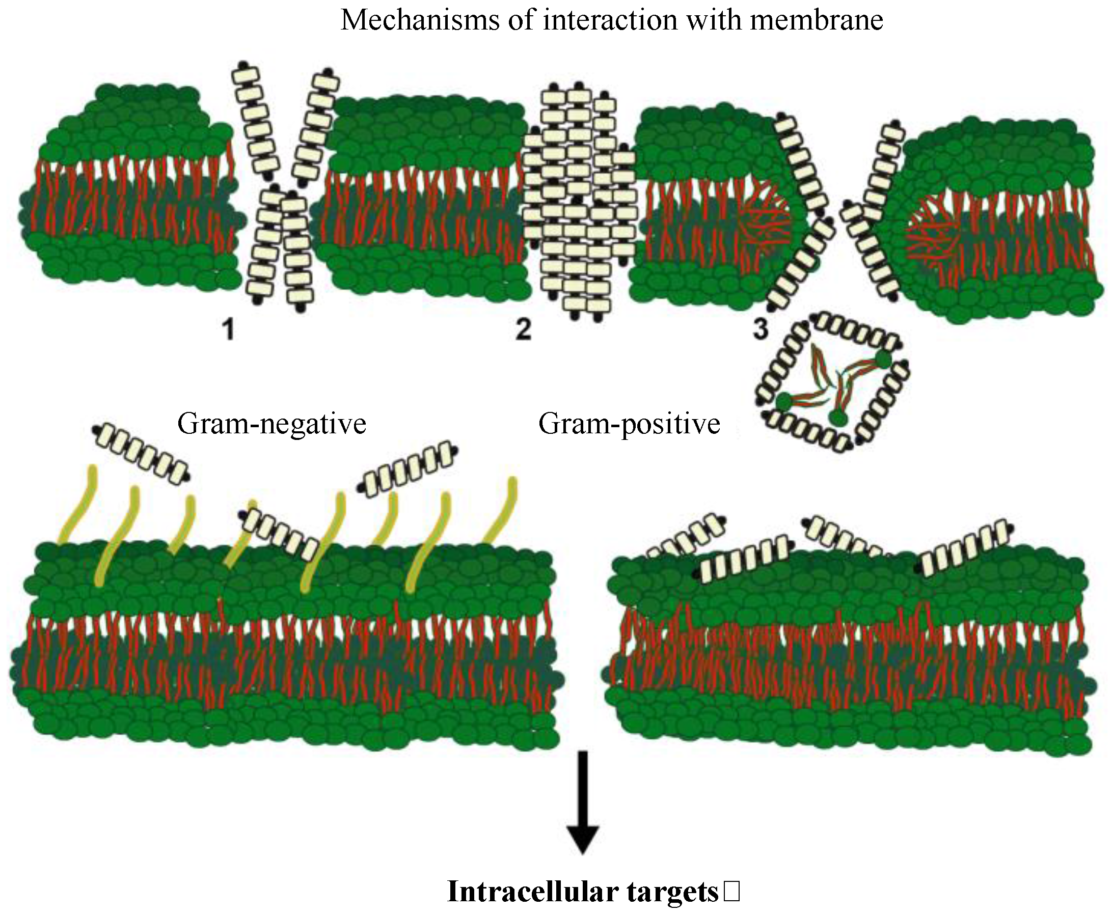 Marinedrugs 15 00182 g002