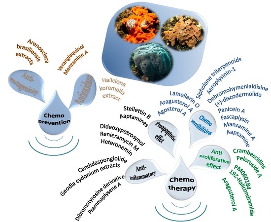 Cites for drug nutrient
