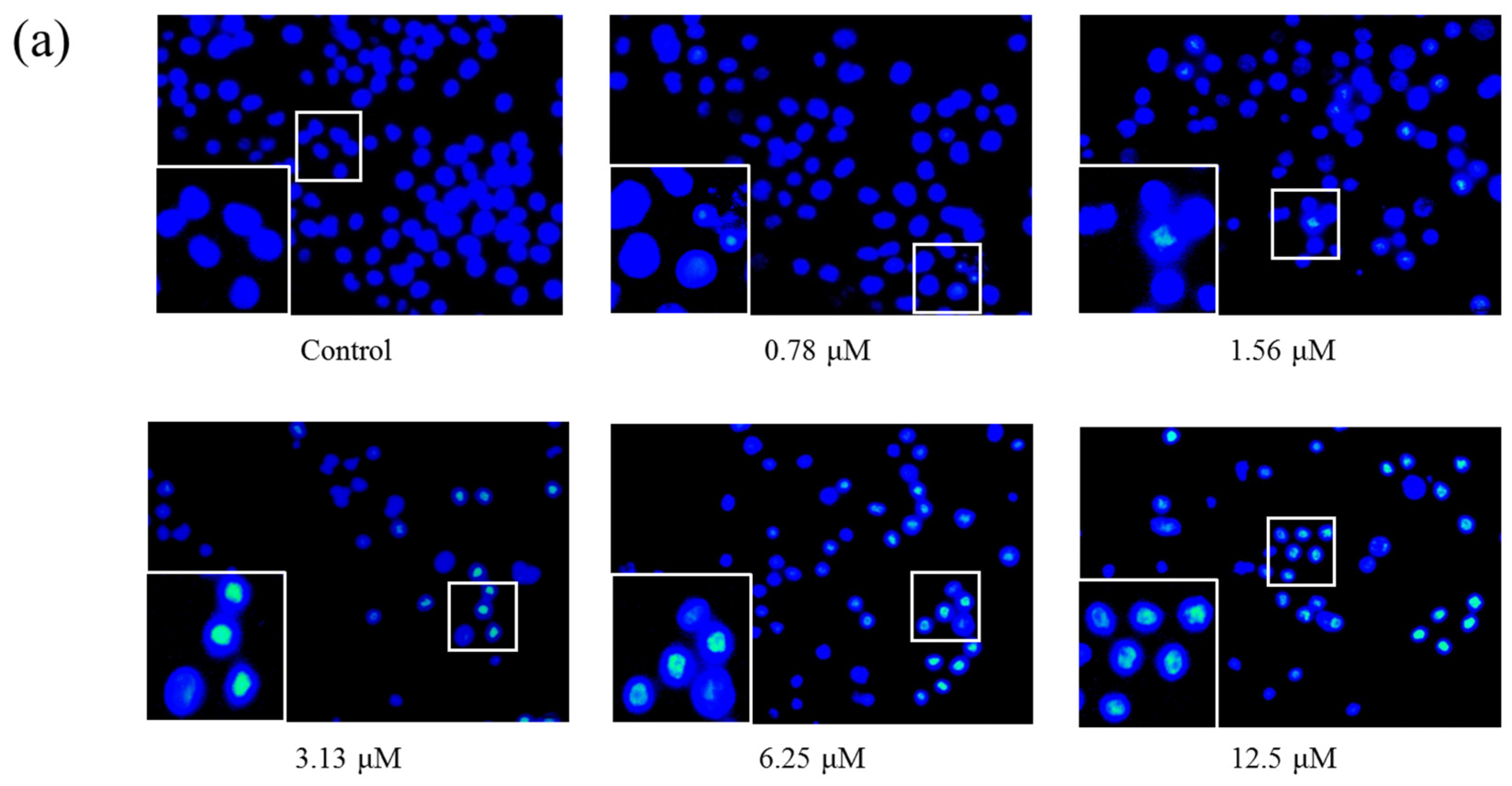 Marinedrugs 15 00346 g004a