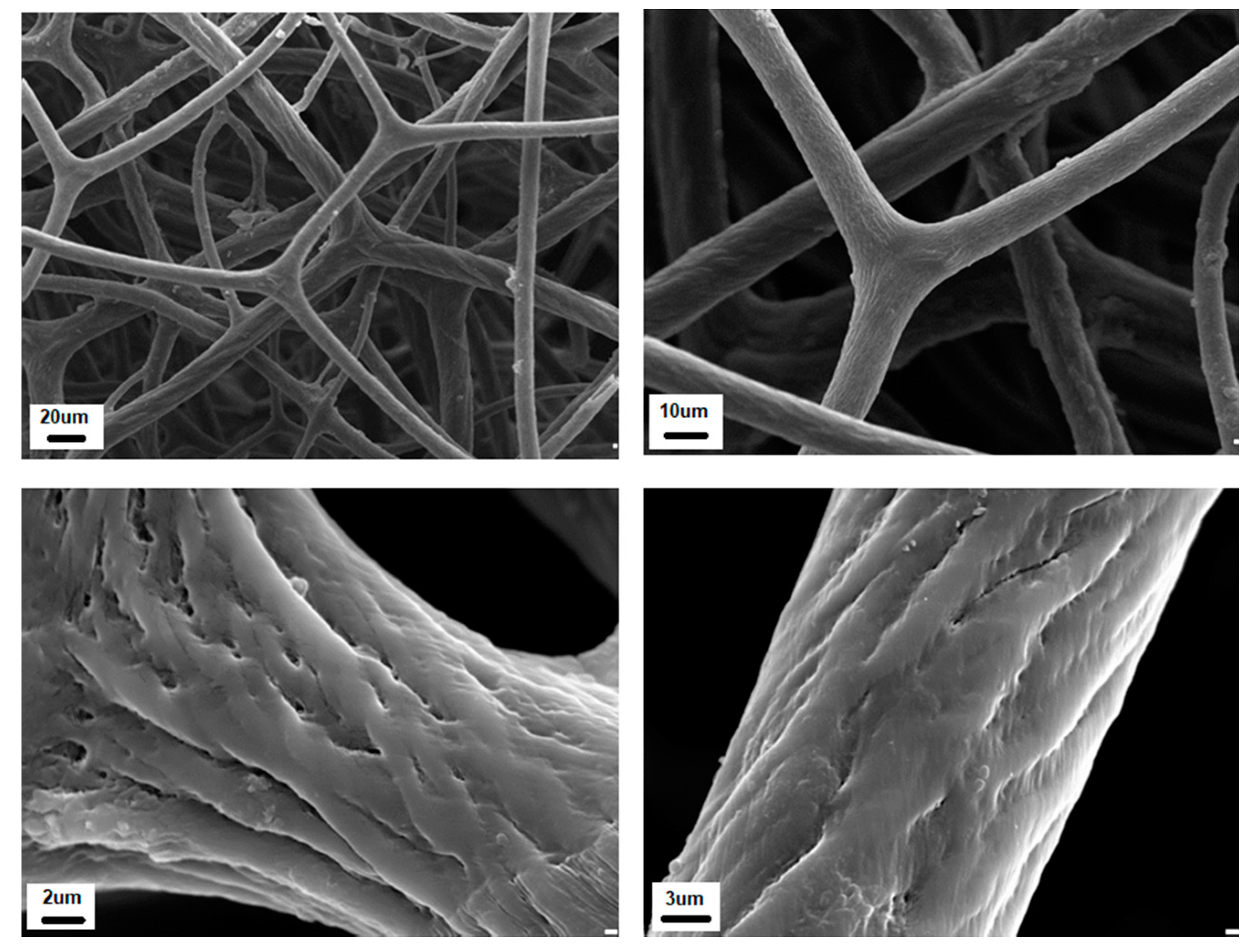 Marinedrugs 16 00088 g007