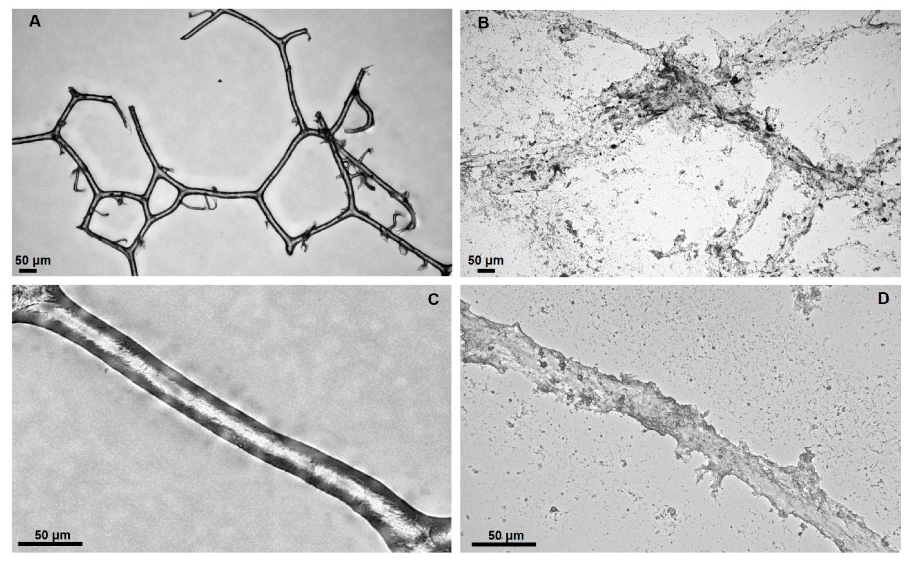 Marinedrugs 16 00088 g009