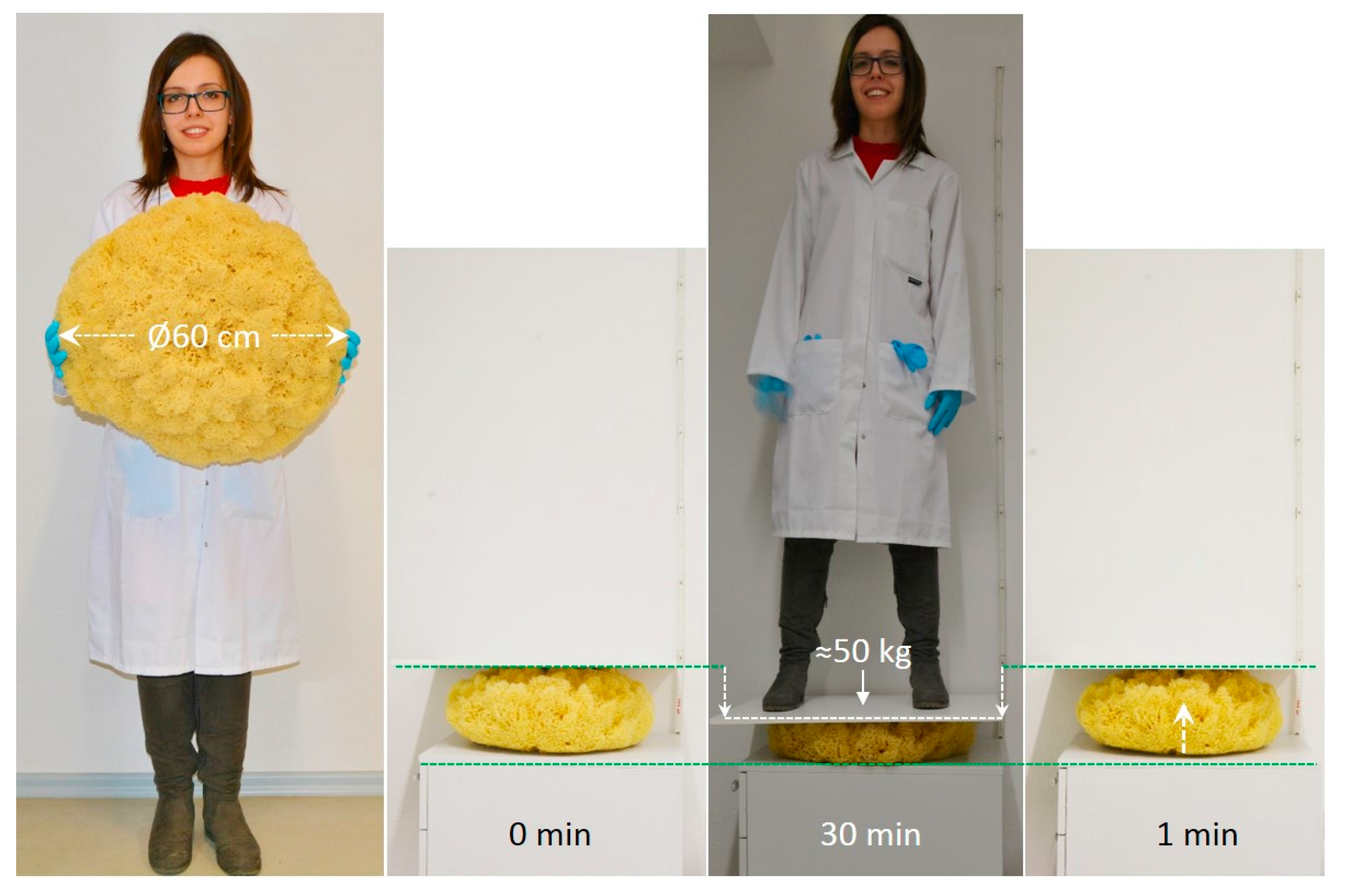 Marinedrugs 16 00088 g010