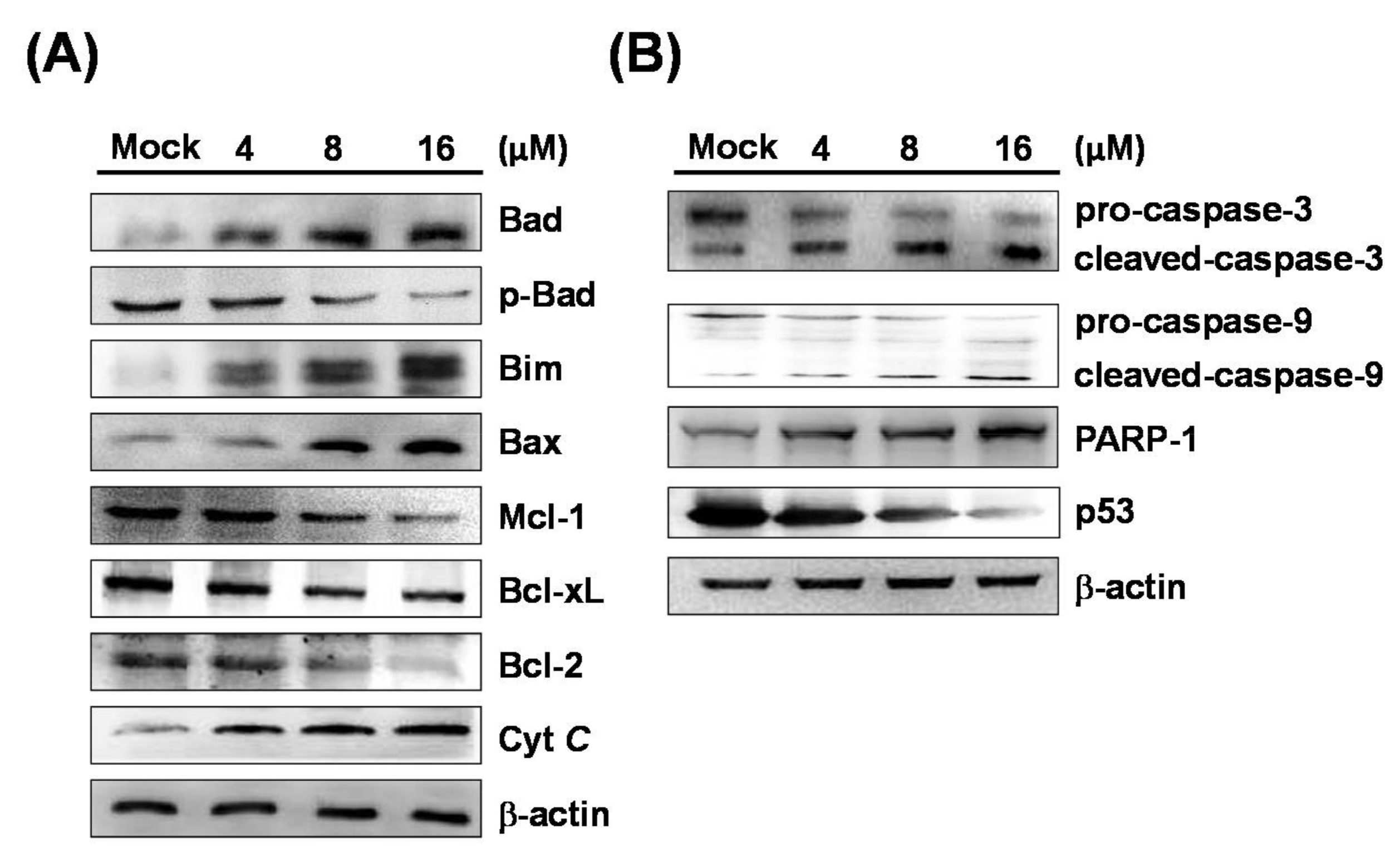 Marinedrugs 16 00104 g004