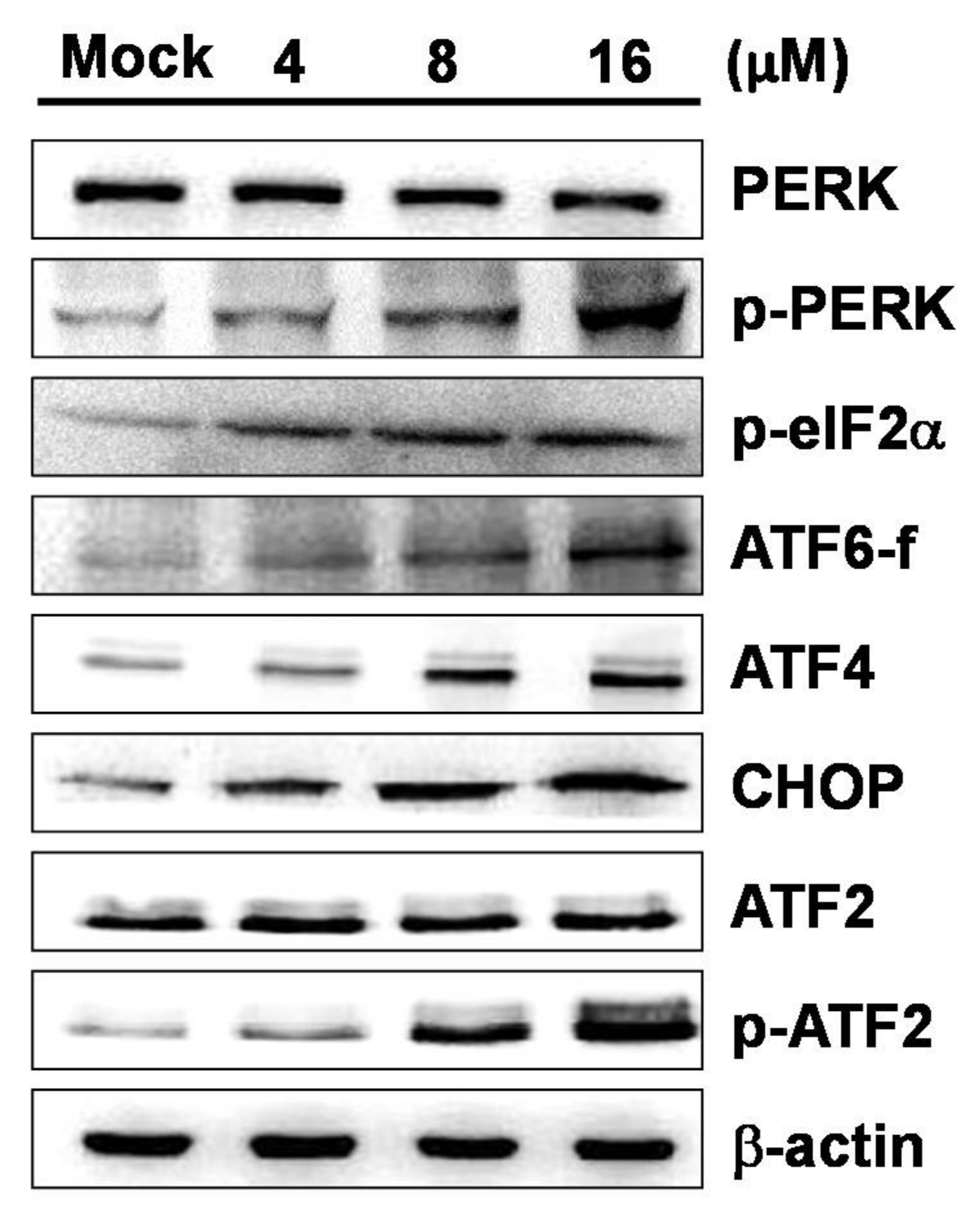 Marinedrugs 16 00104 g005