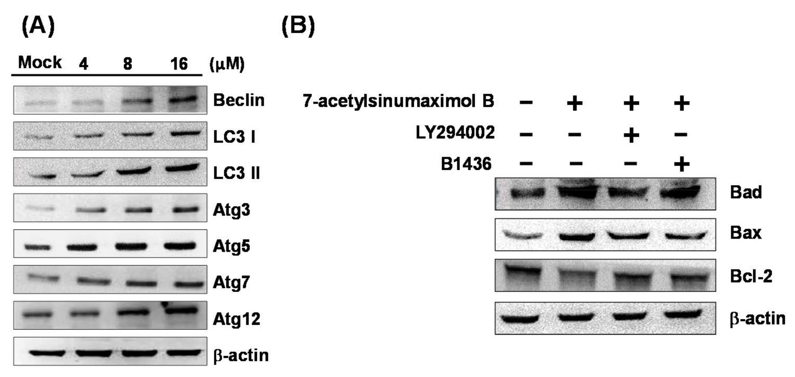 Marinedrugs 16 00104 g006