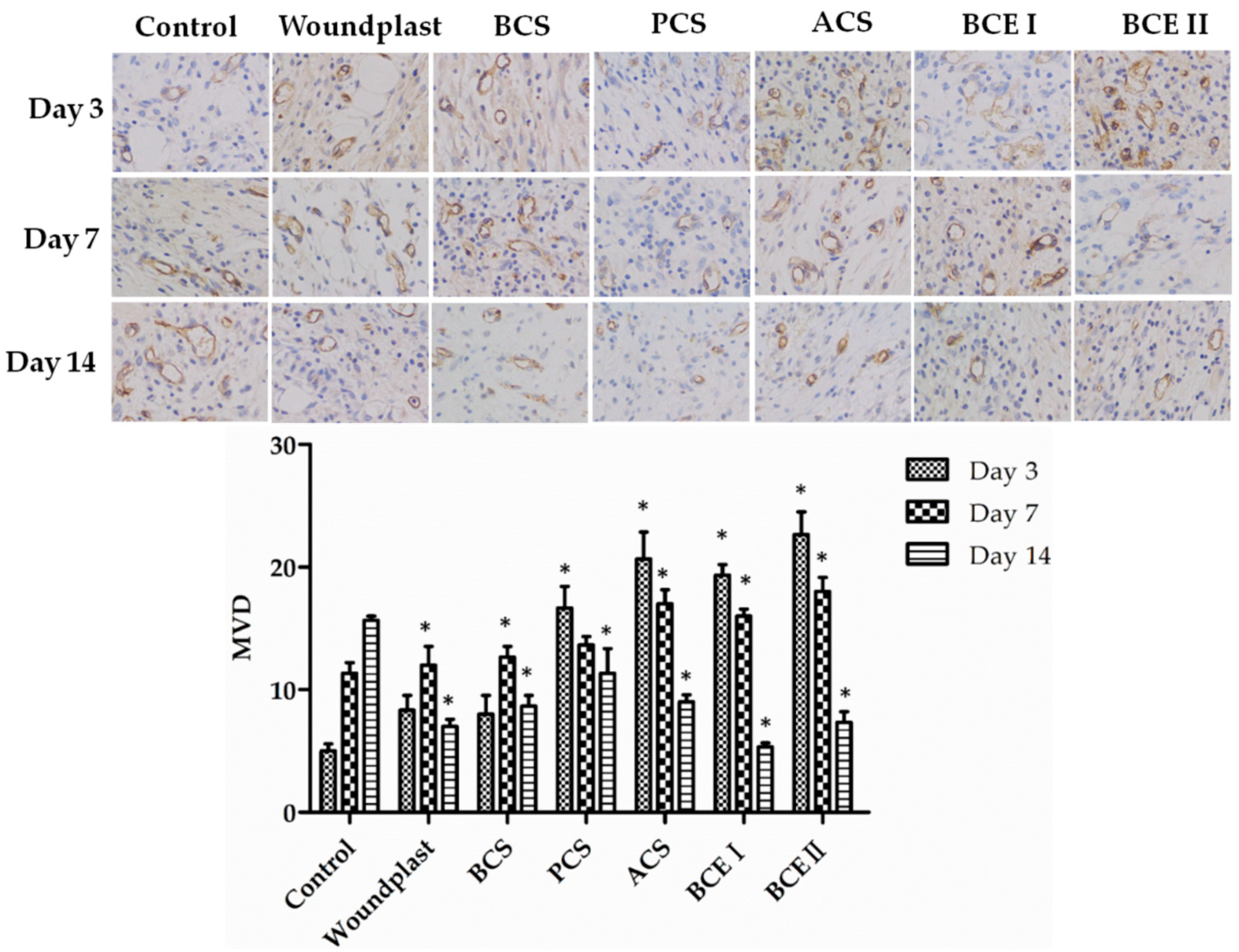 Marinedrugs 17 00033 g005