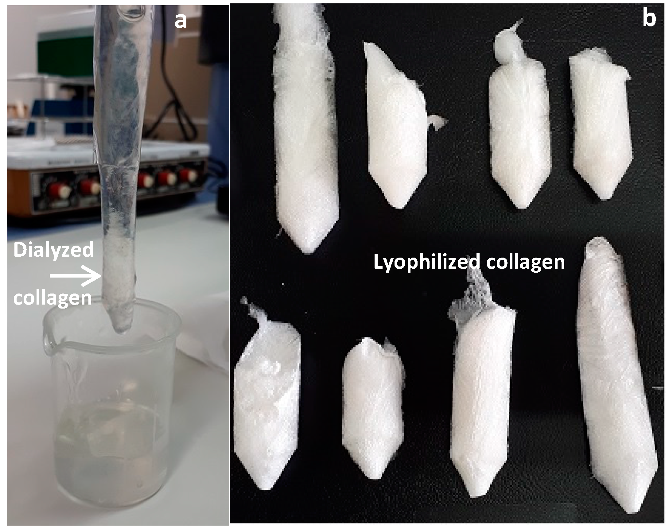 Marinedrugs 17 00040 g002 Marinedrugs 17 00040 g002