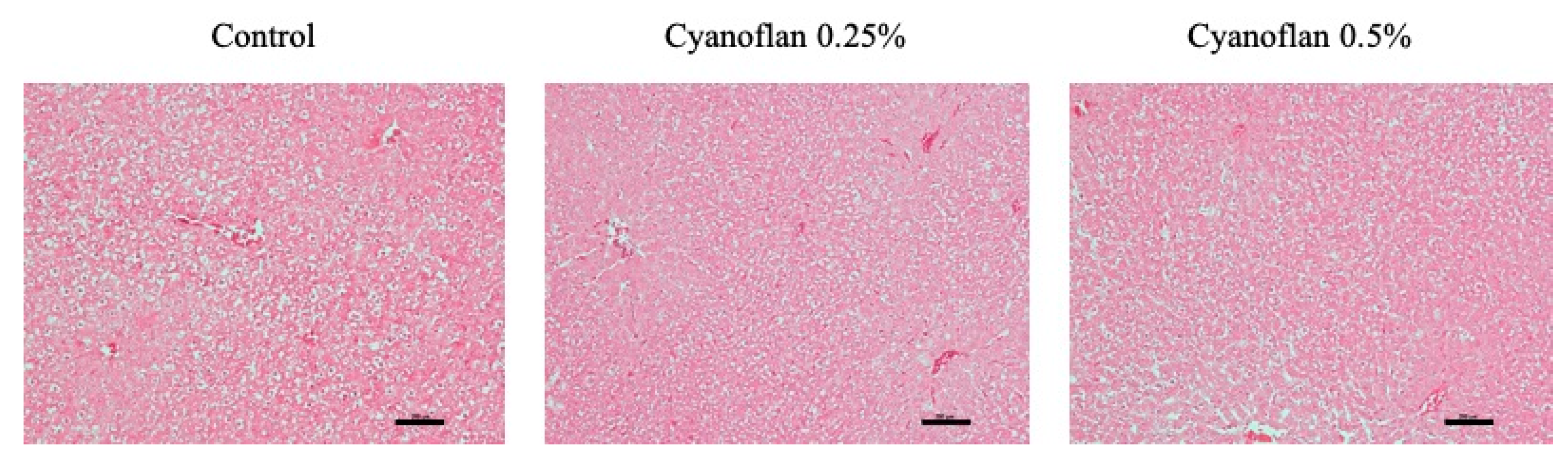 Marinedrugs 19 00147 g006