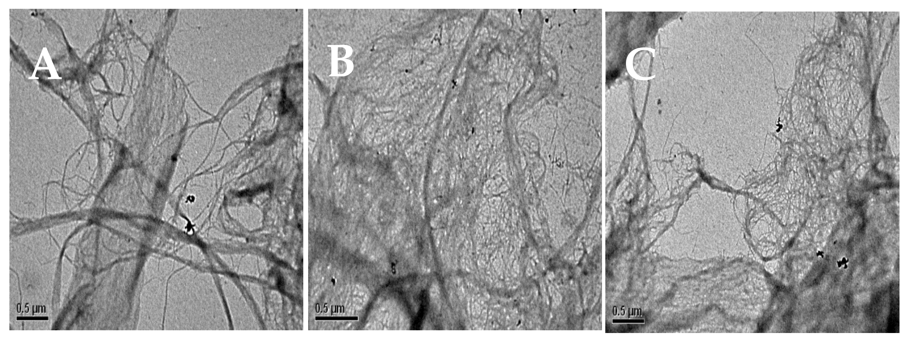 Marinedrugs 19 00184 g006 Marinedrugs 19 00184 g006