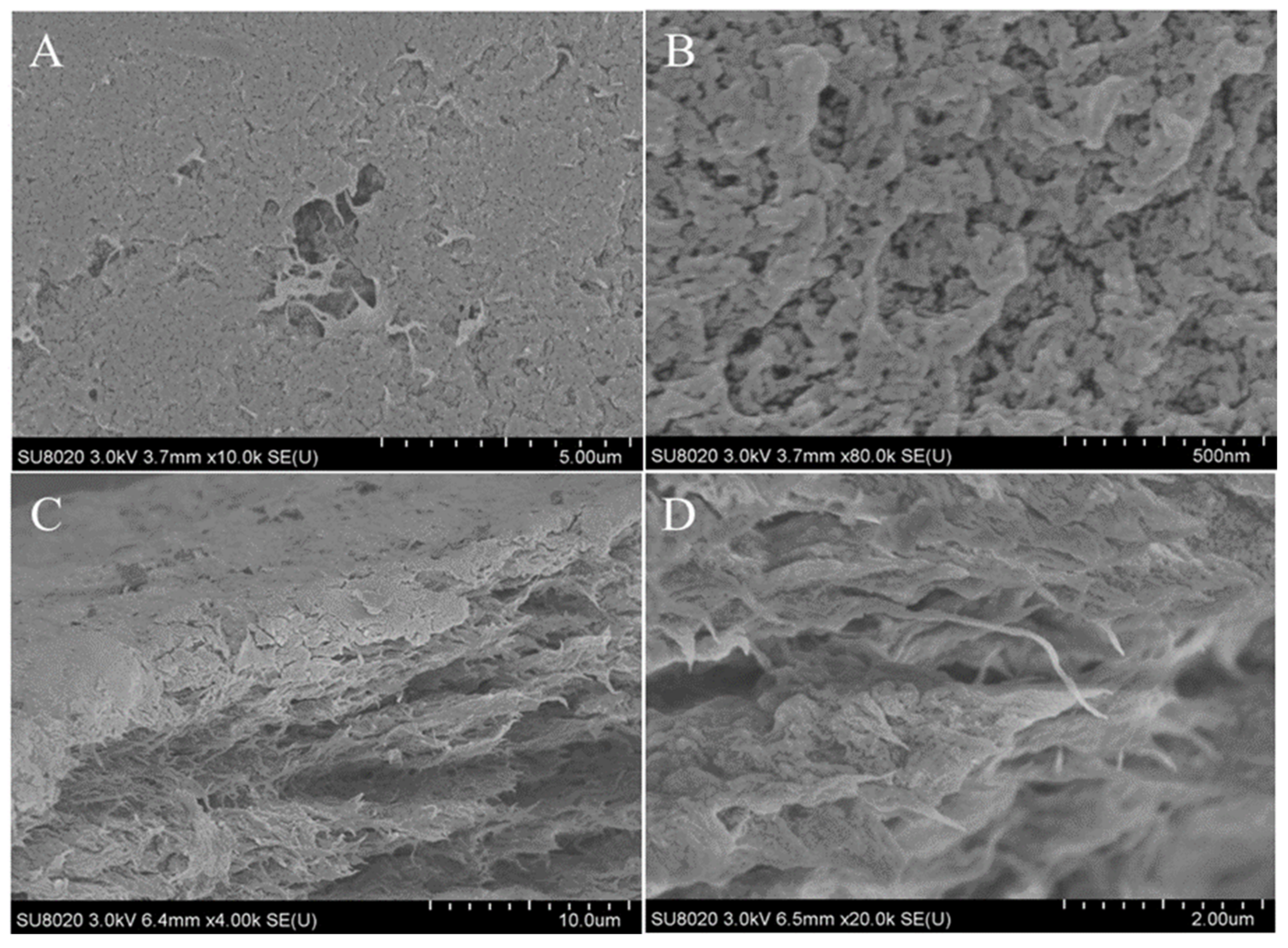 Marinedrugs 19 00184 g009 Marinedrugs 19 00184 g009