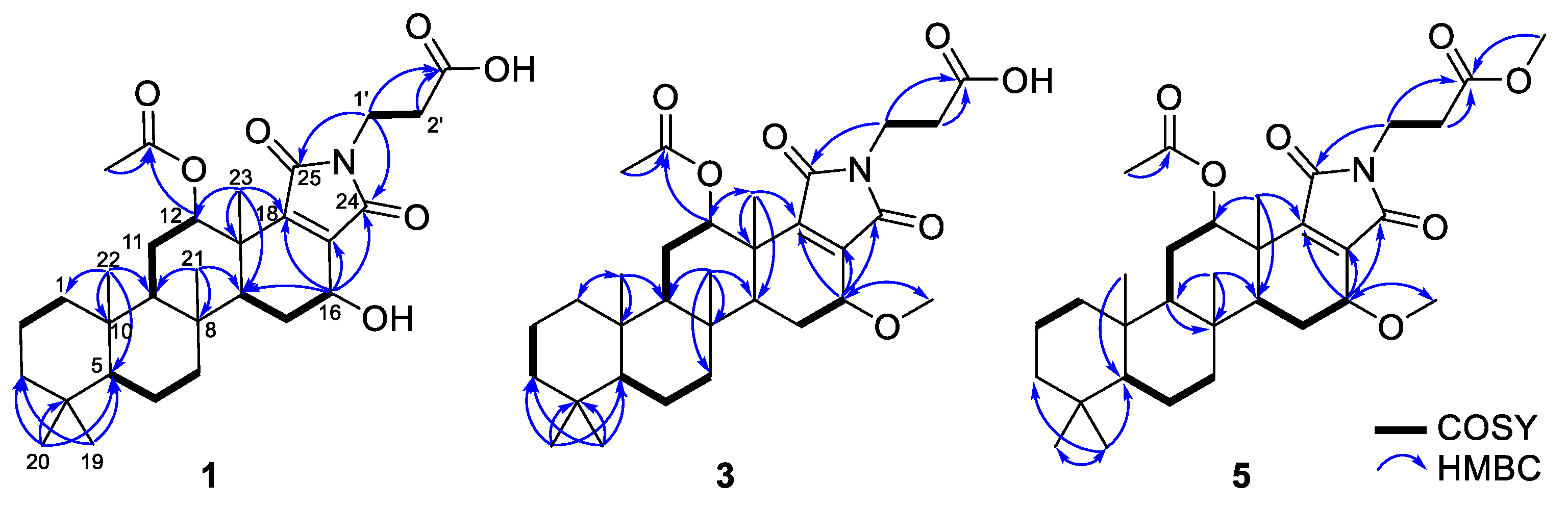 Marinedrugs 20 00726 g003