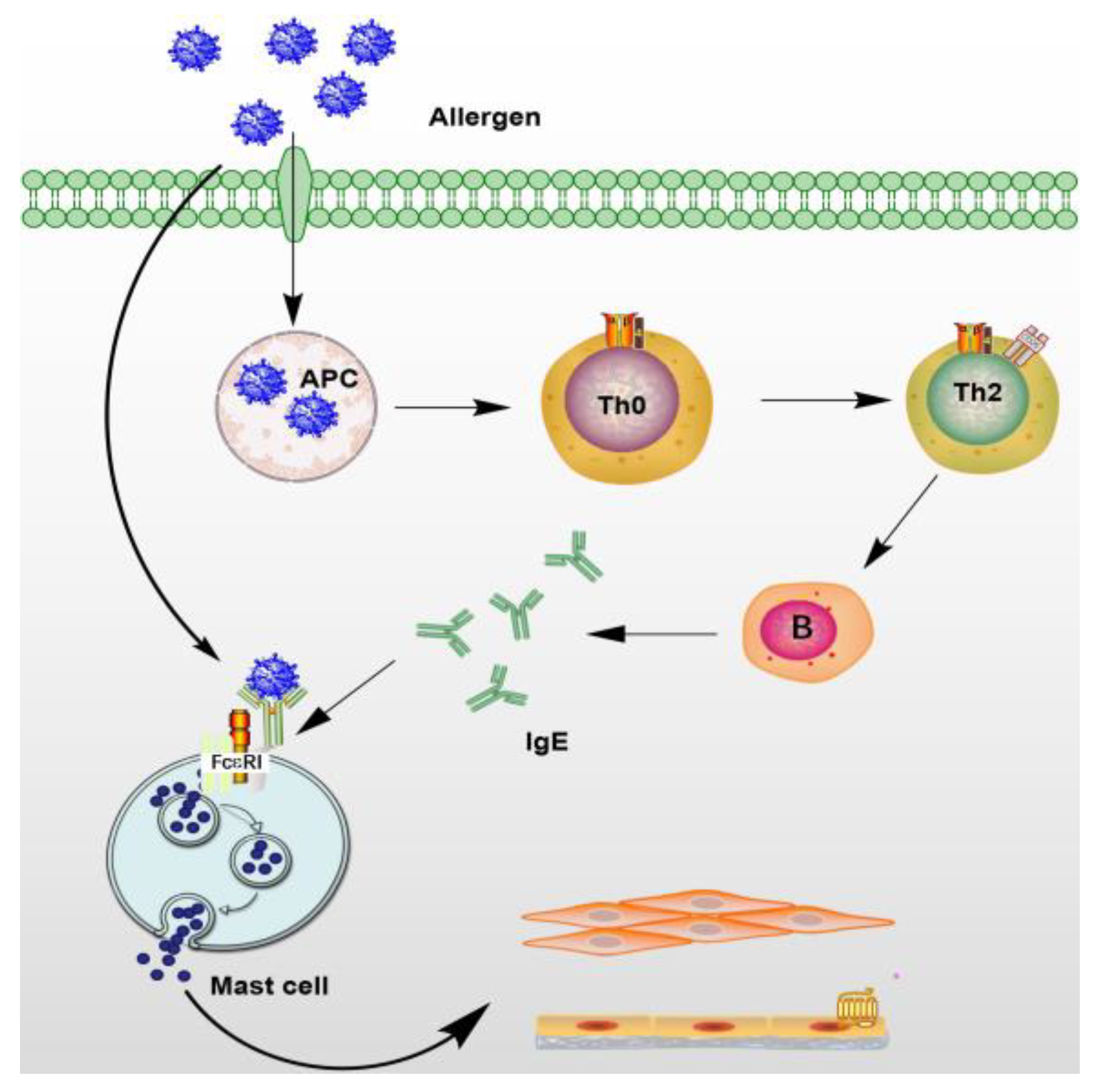 Marinedrugs 21 00152 g004