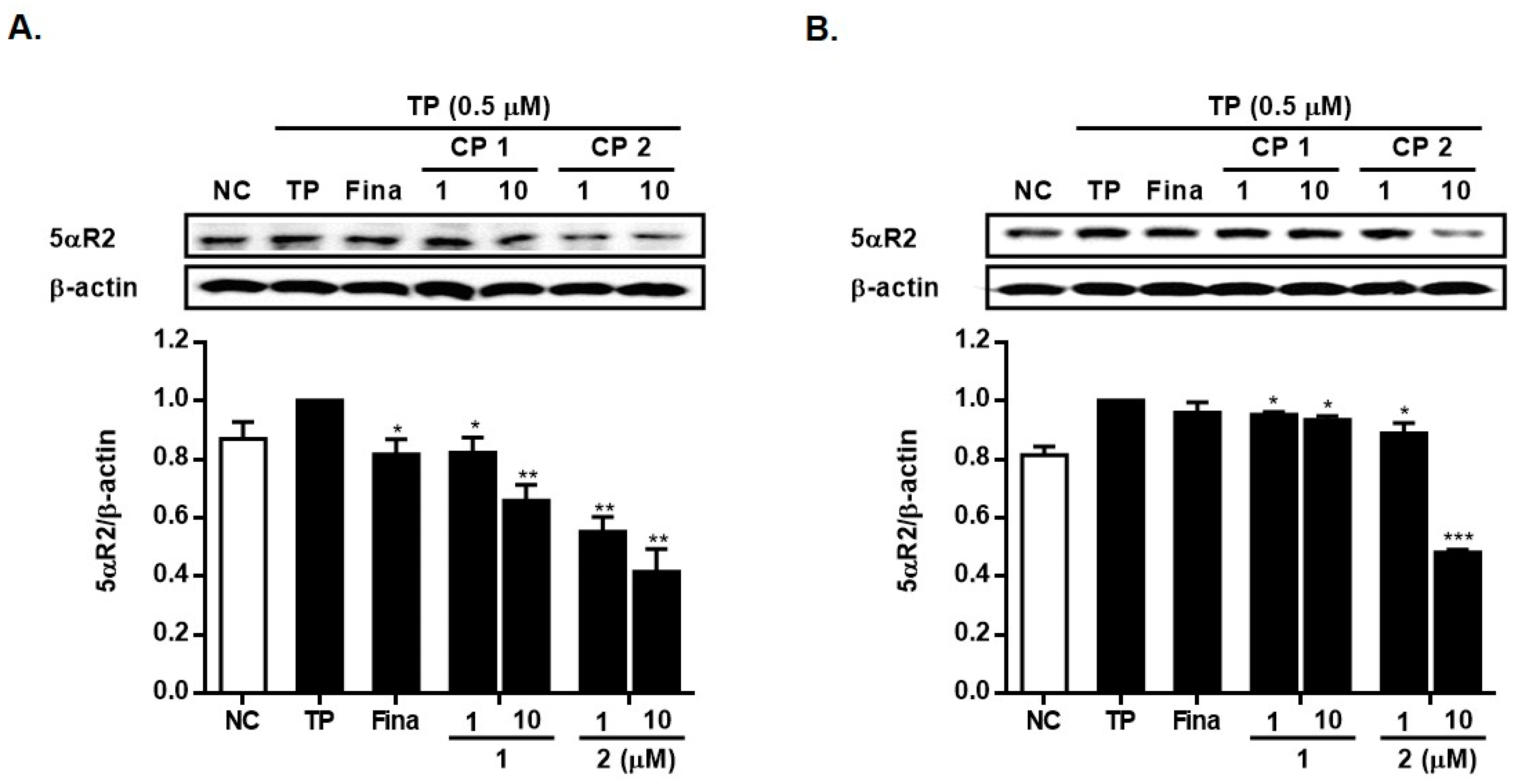 Marinedrugs 21 00491 g007