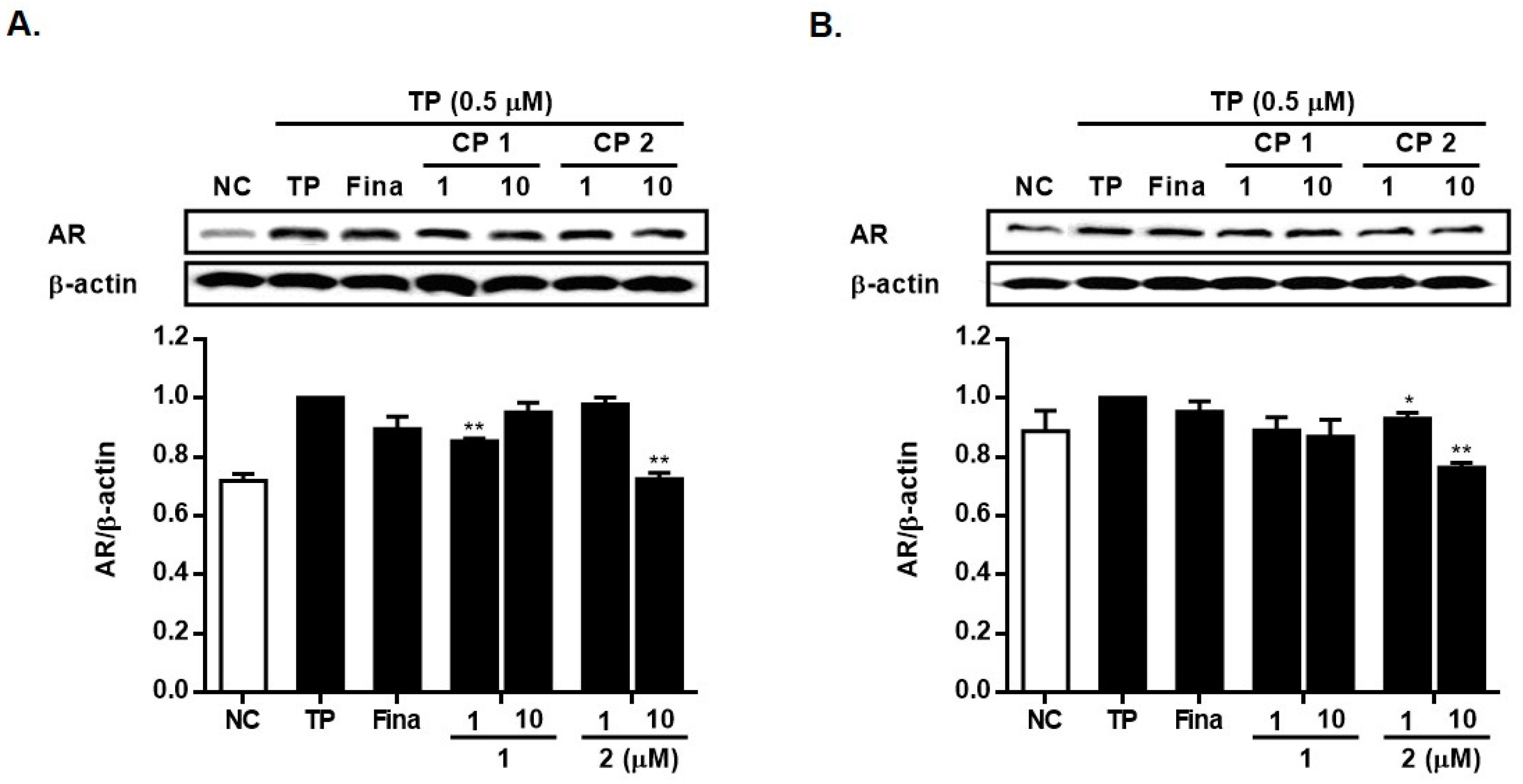 Marinedrugs 21 00491 g008